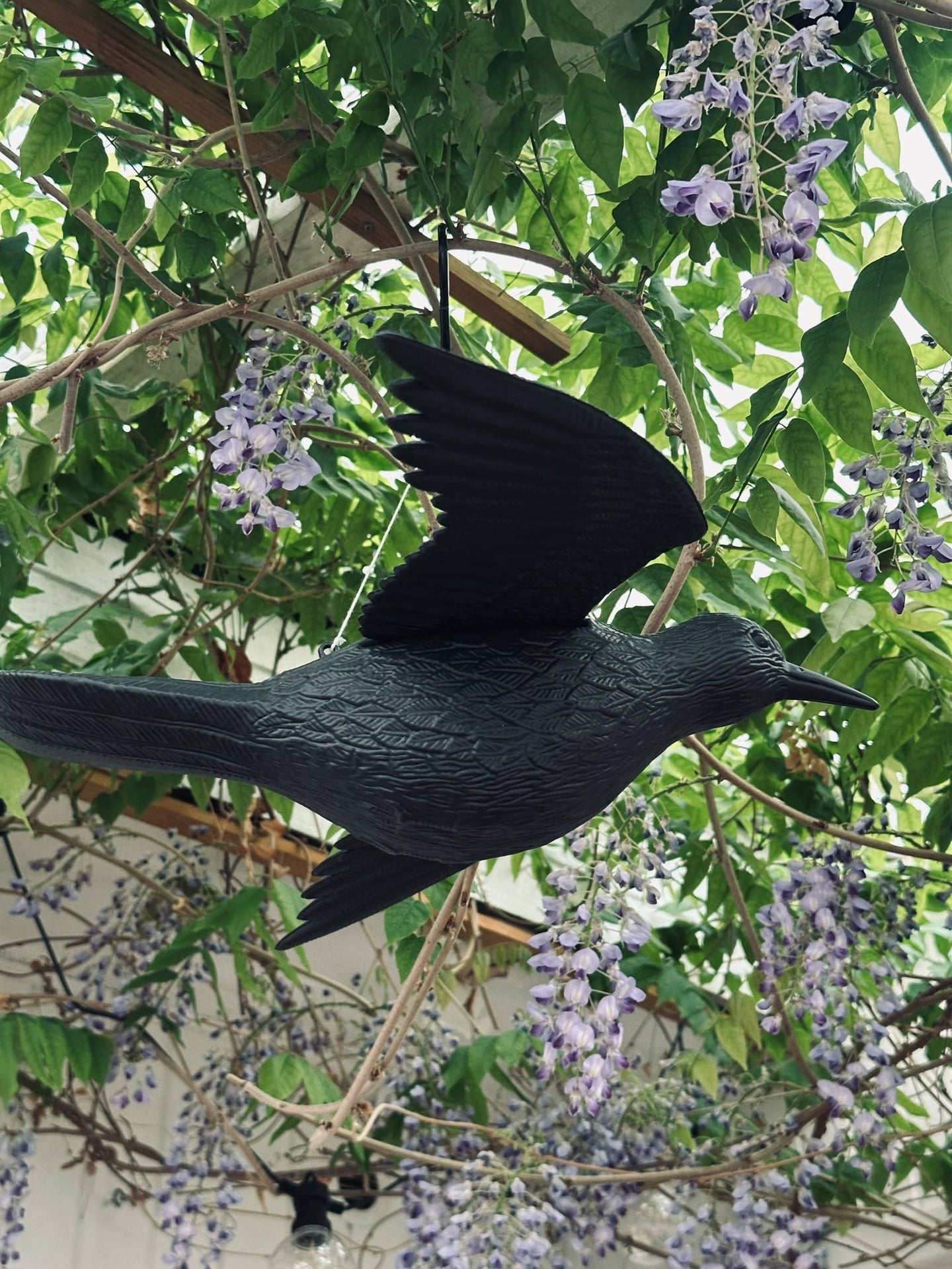 Fågel - RAVEN BLACK