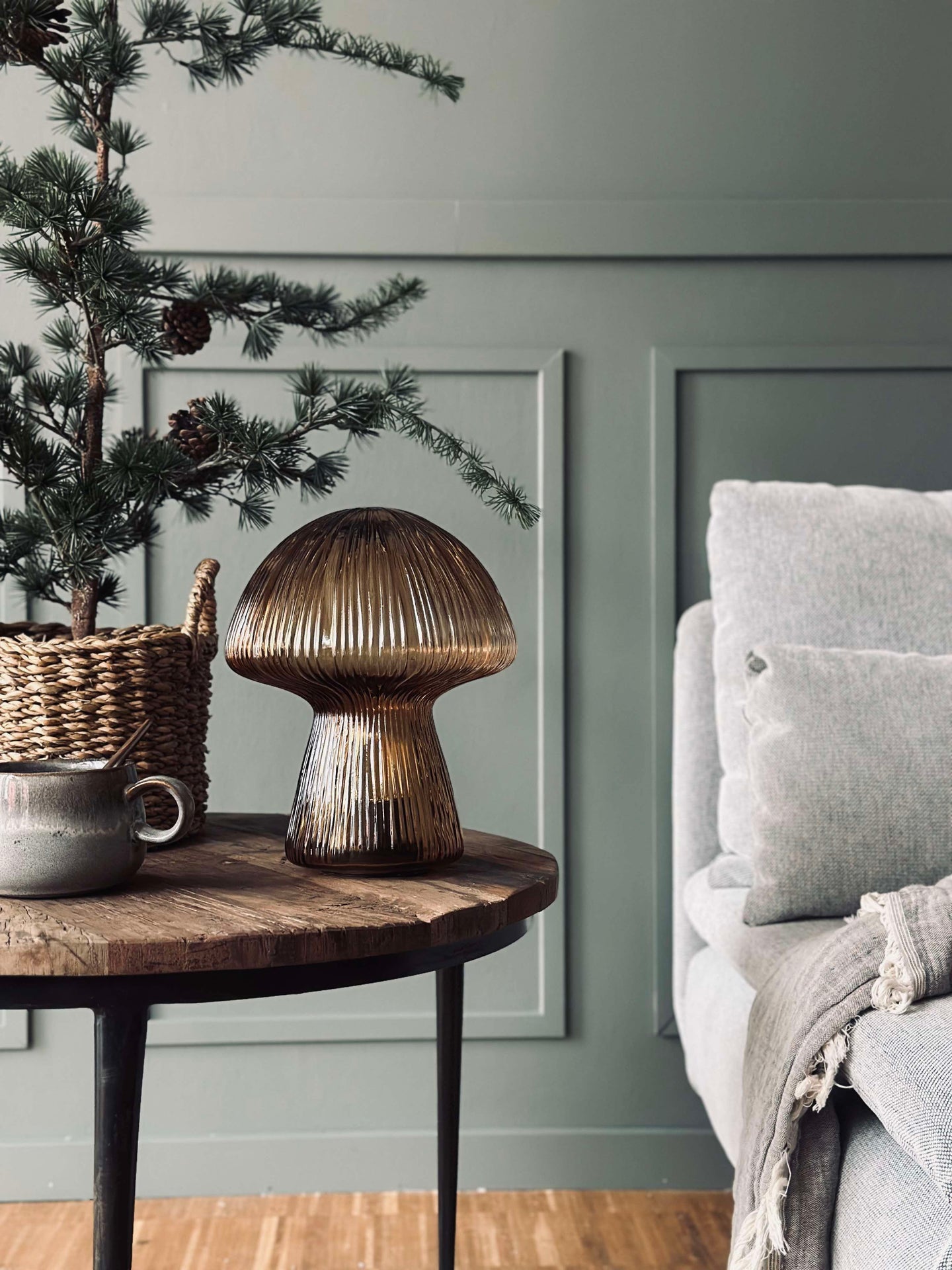 Svamp med räfflor - Gyllene