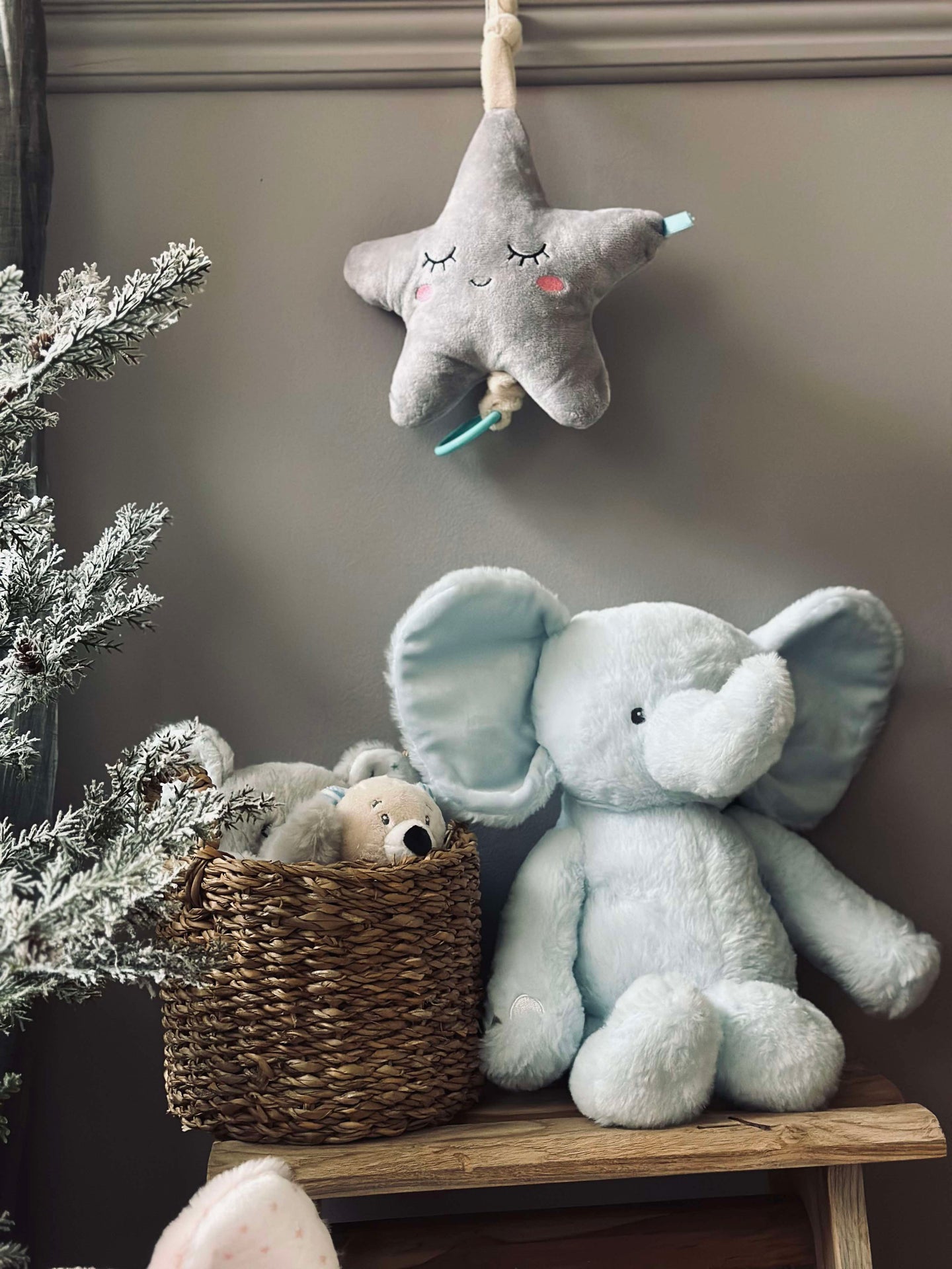Nalle med musik - Stjärna