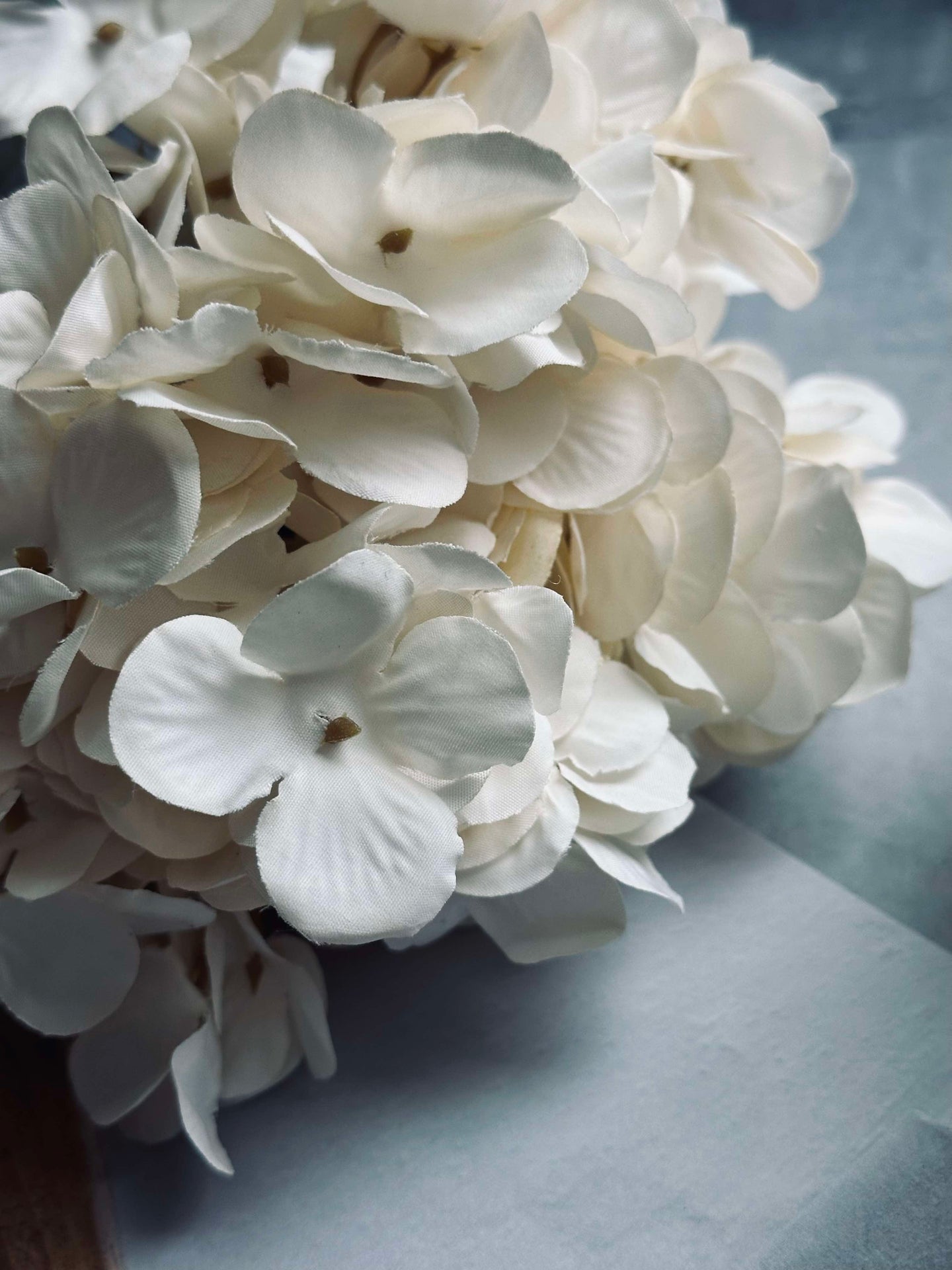 Blomma siden Hortensia Vit