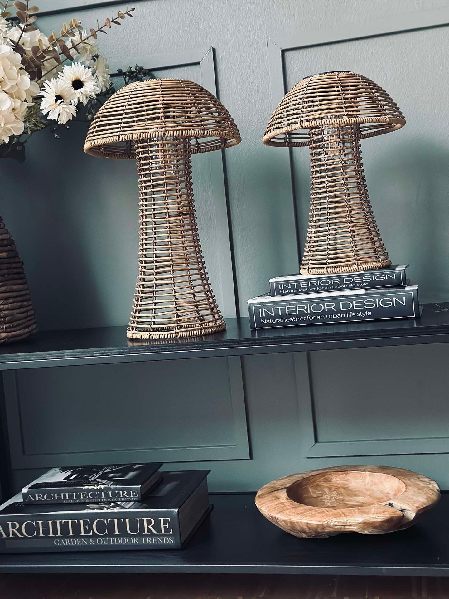 Svamp Solcell - Natur Stor