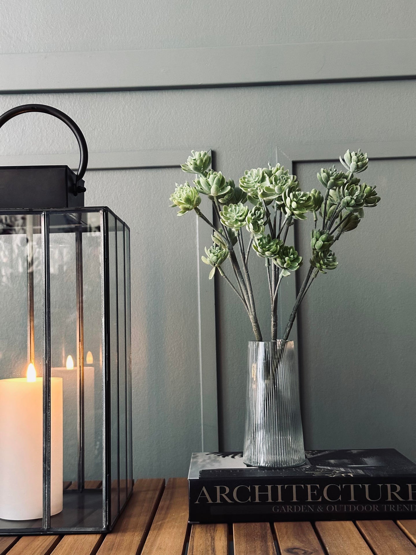 Suckulent på stjälk