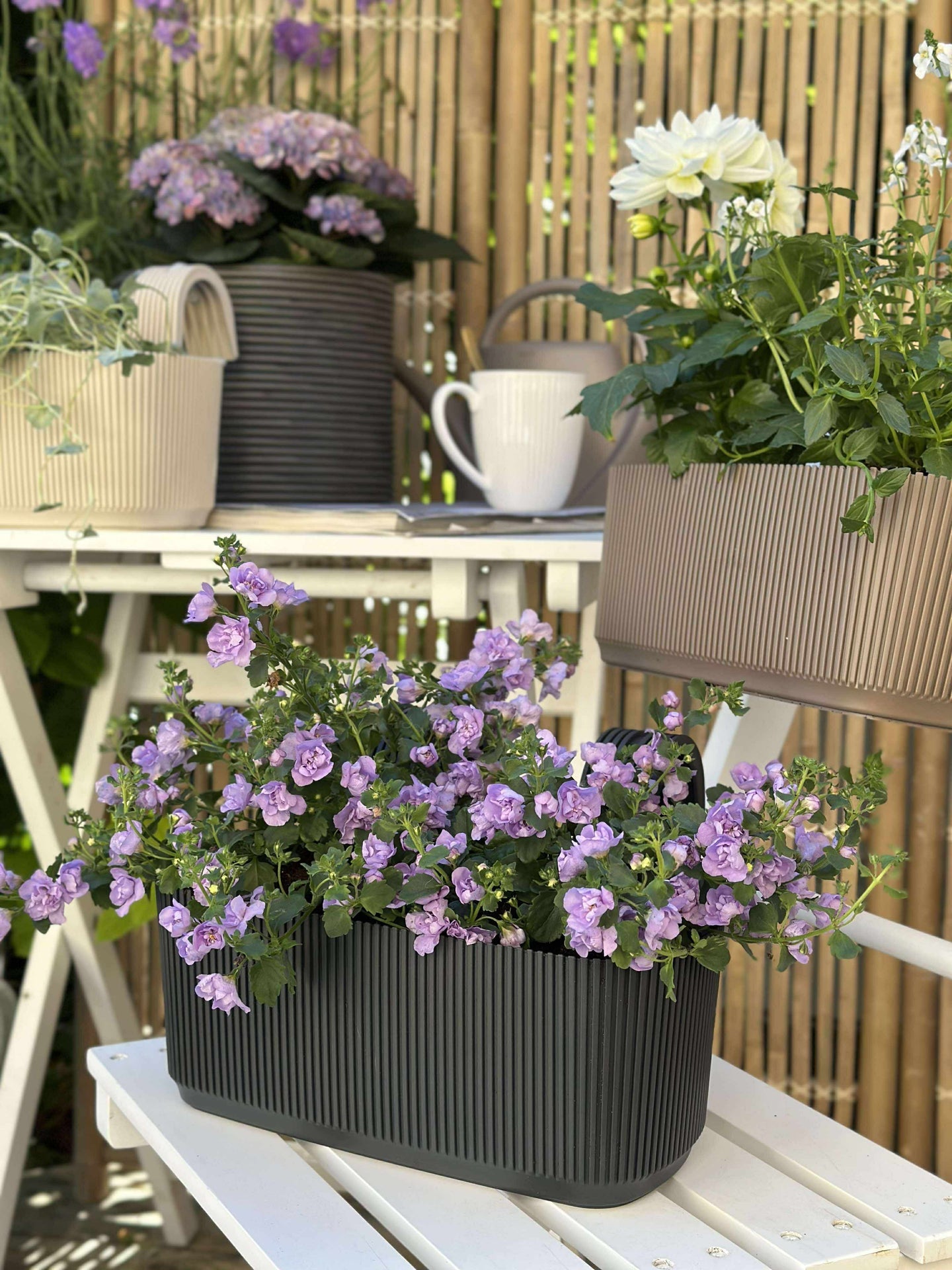 Växtlåda med upphängning – Kräm