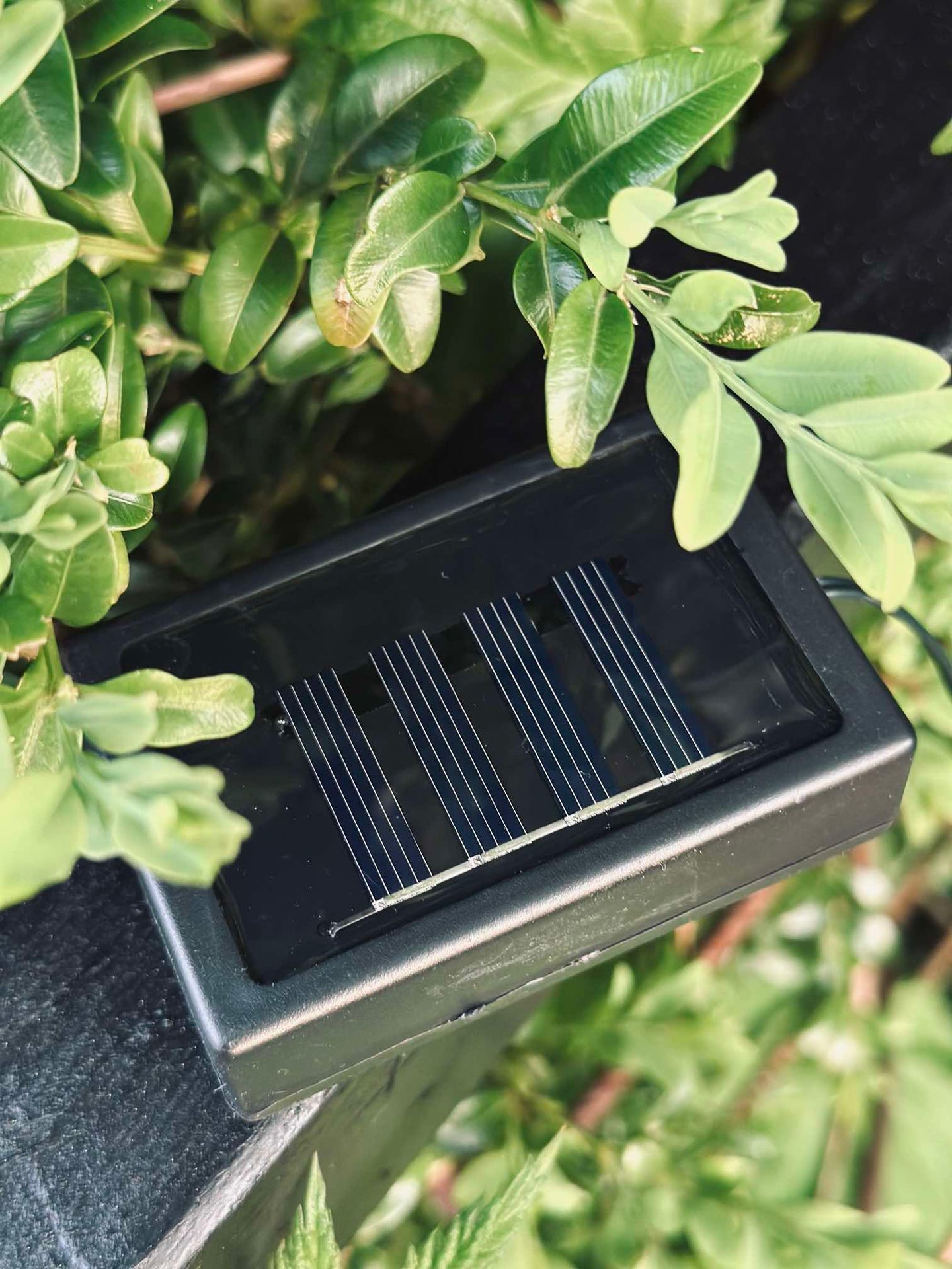 Ljusslinga COLOR med solceller