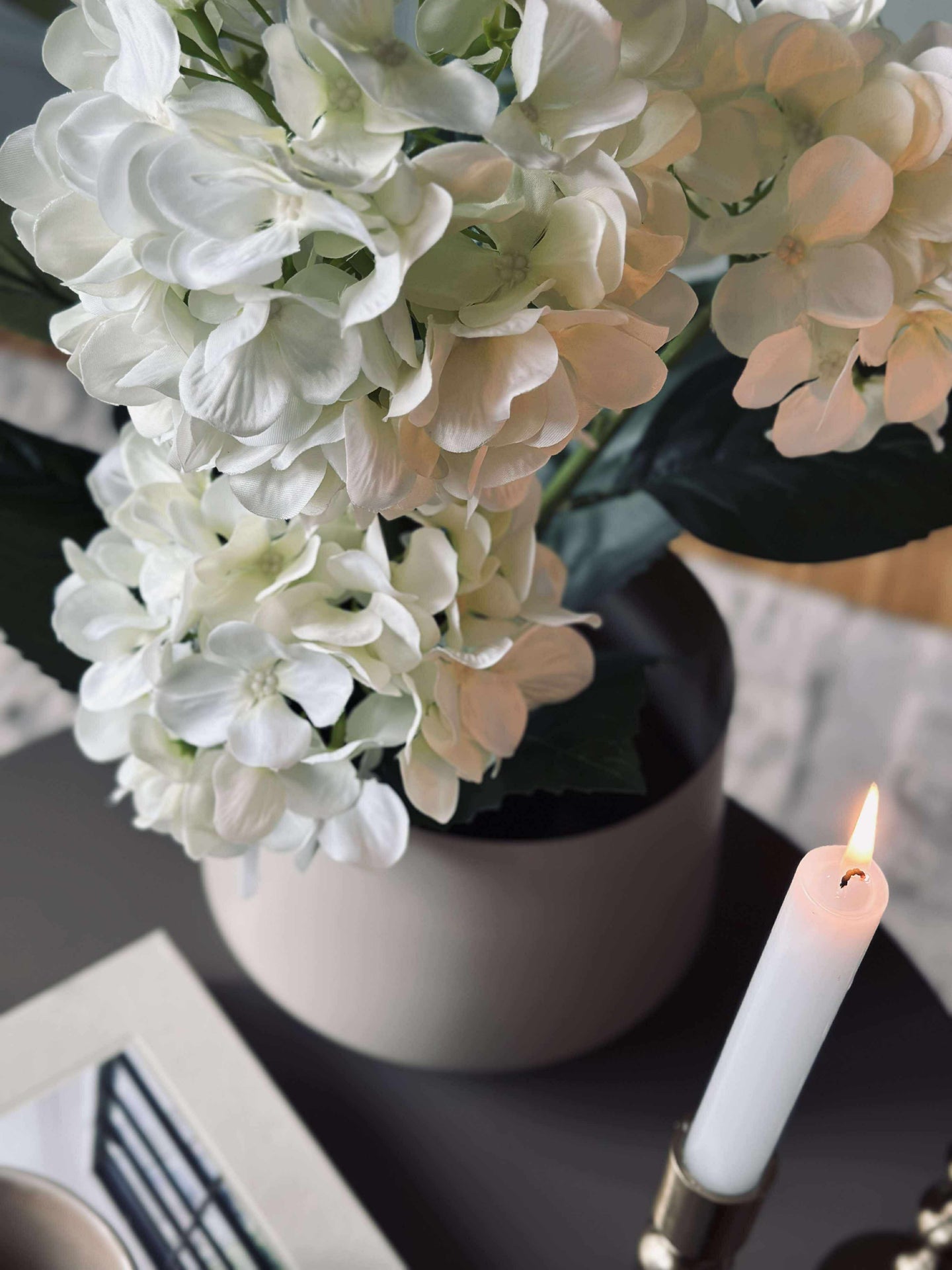 Hortensia i kruka - Vit