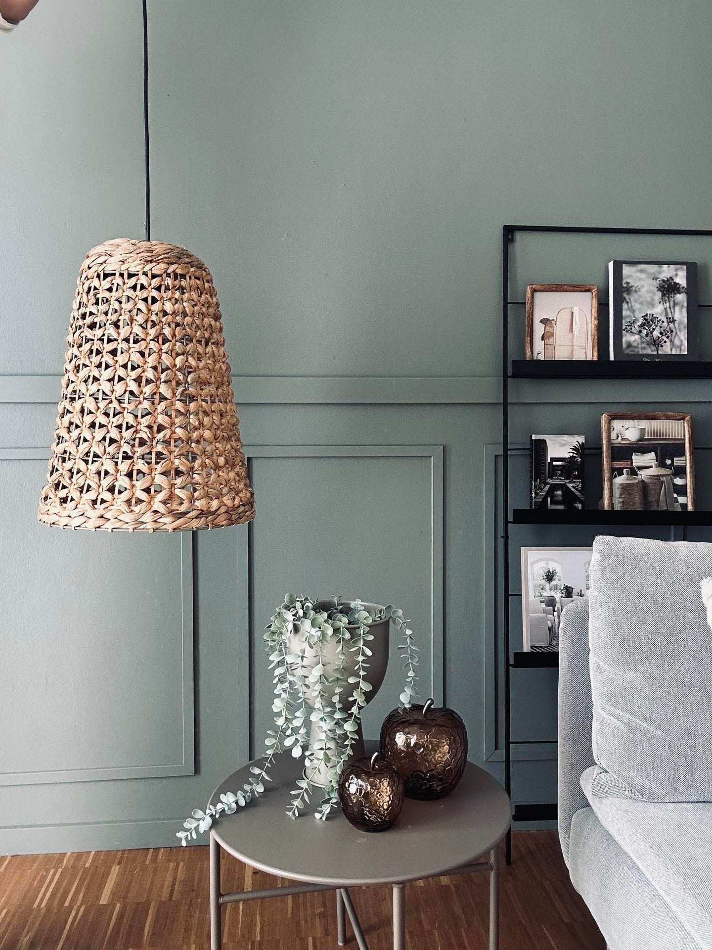 Lampa i vattenhyacint - Dia 35