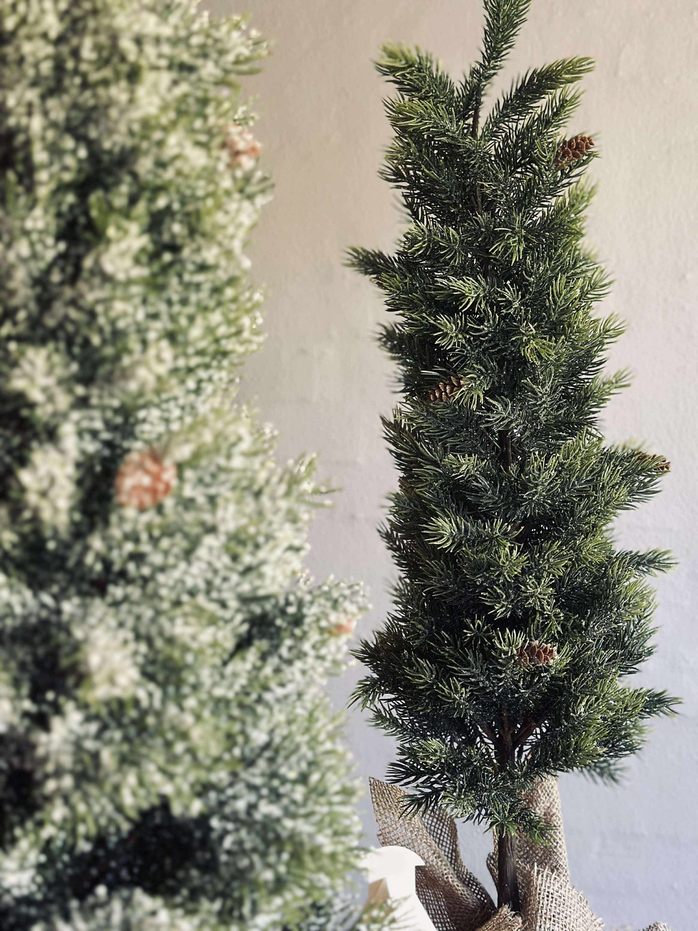 Blandad Tall - 80 cm