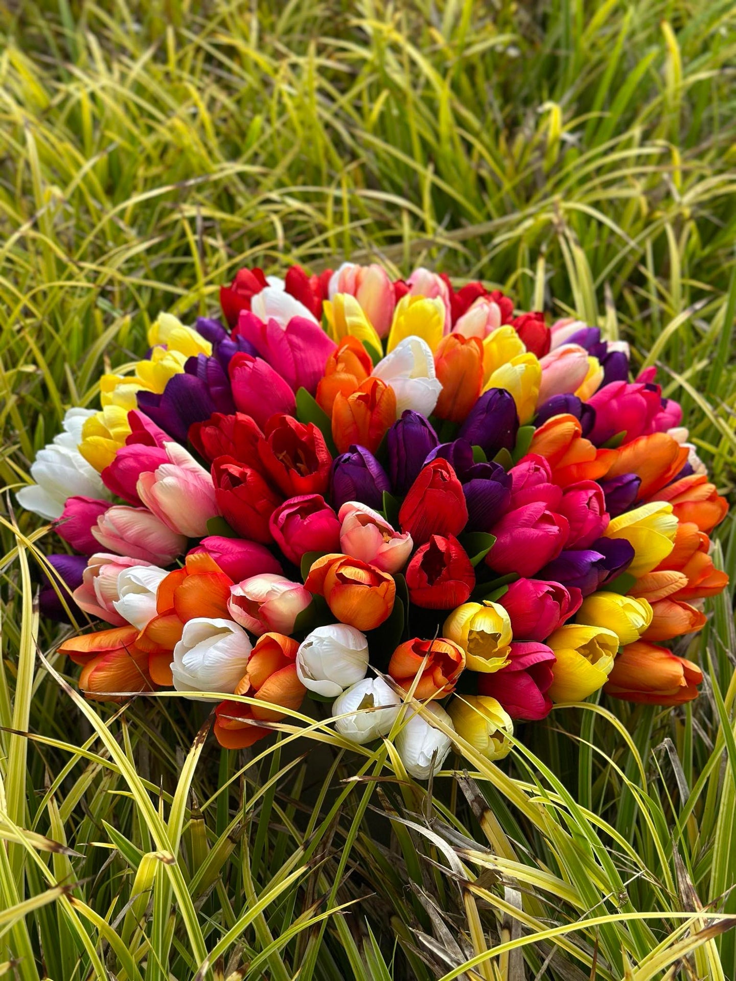 Tulpaner i silkeslook – Flera färger