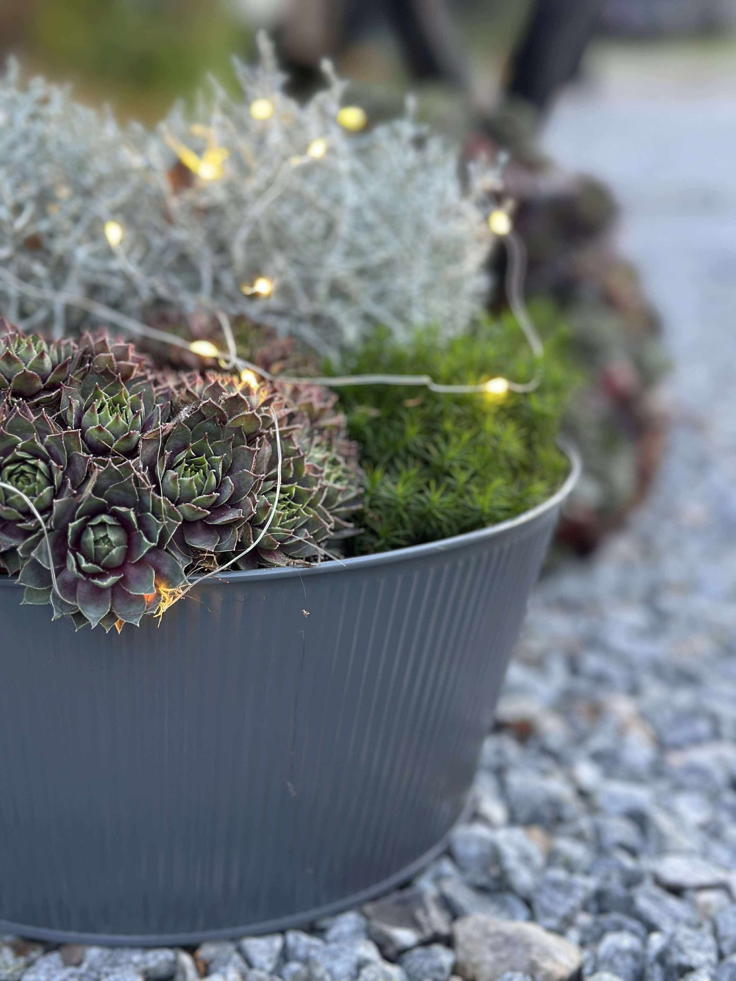 Rund kruka med räfflor - Grå