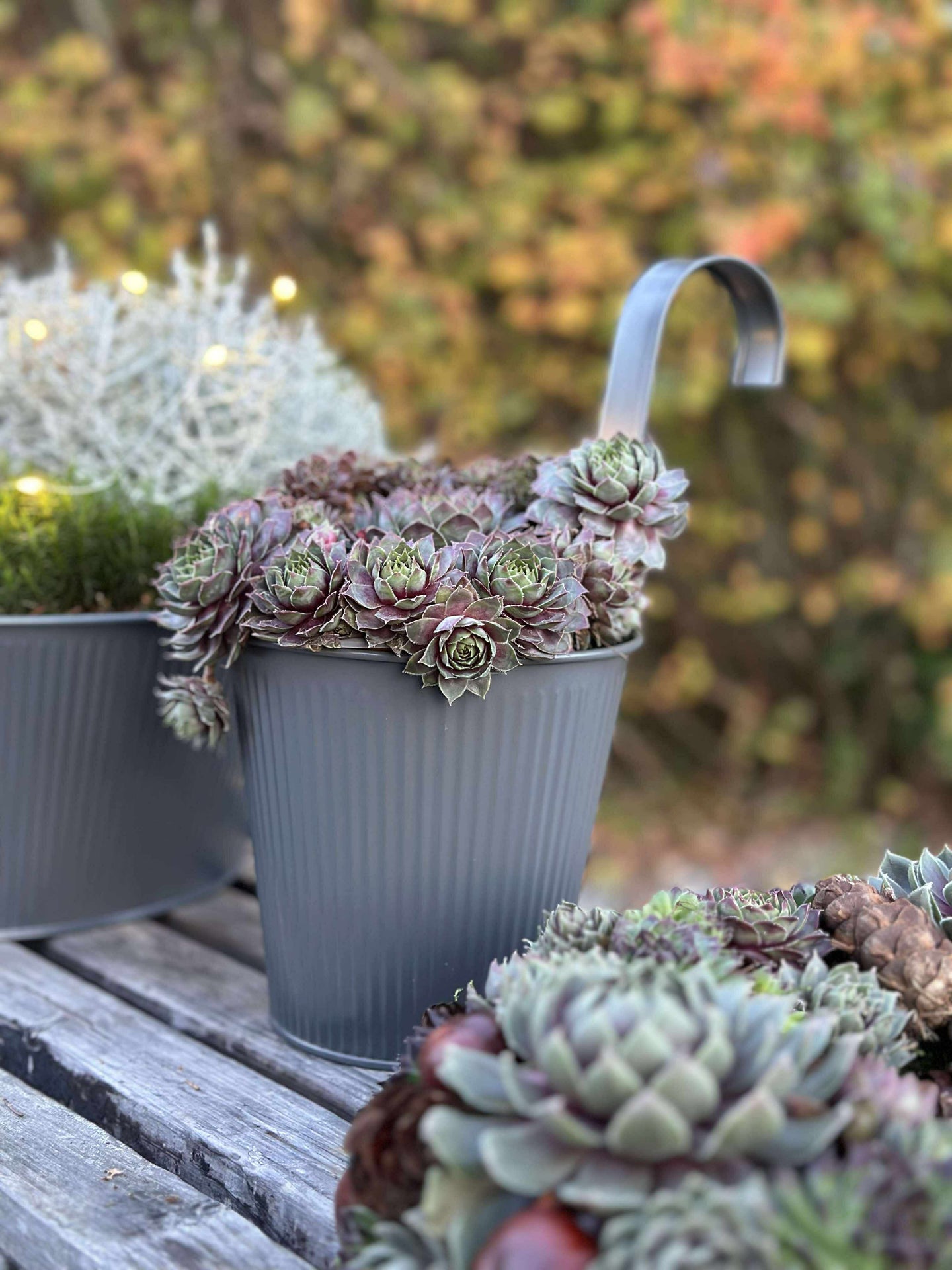 Kruka med räfflor och upphängning - Grå