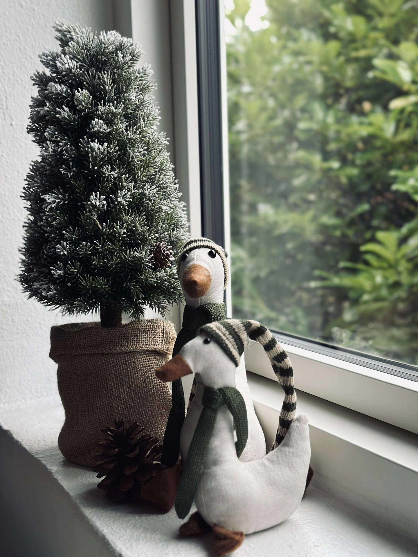 Träd med ljusslinga