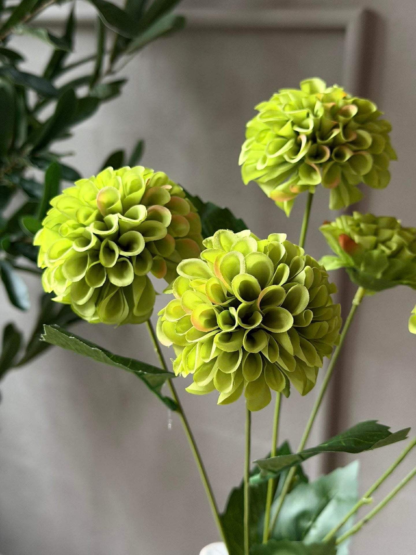 Blomstjälk med flera blommor - Lime