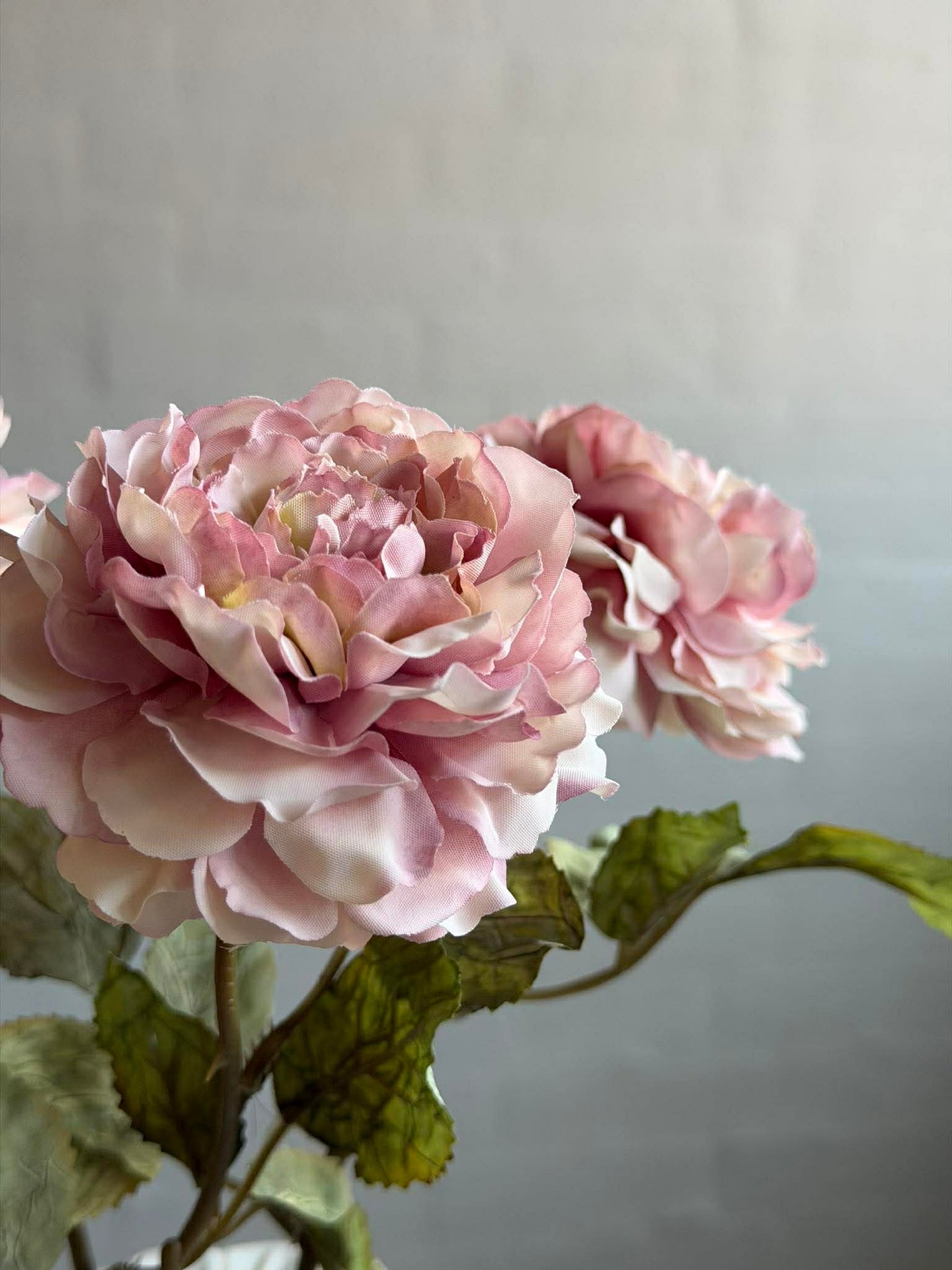 Ros 38cm – Dusty pink