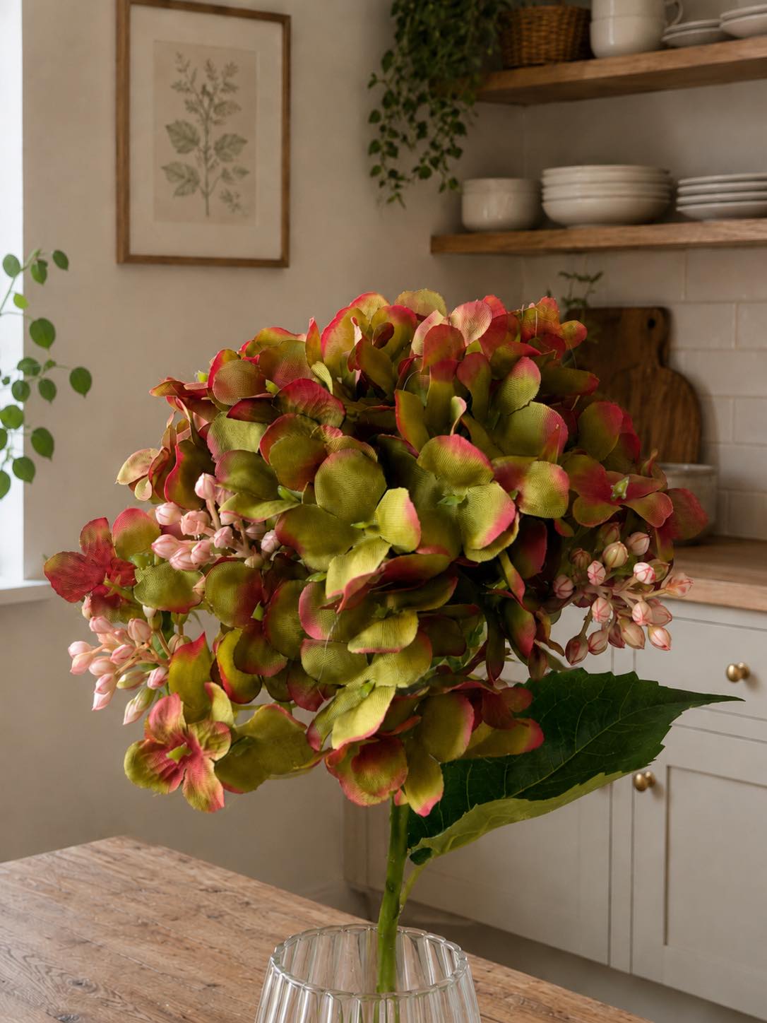 Hortensia grön - 48 cm