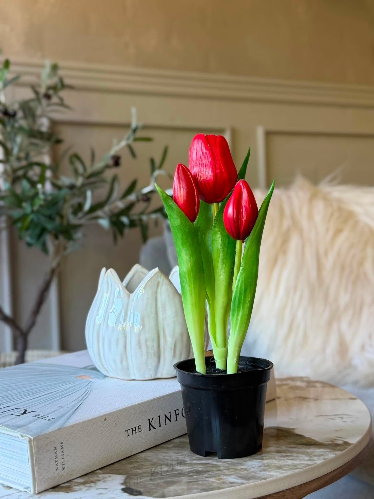 Tulpan i kruka - Röd med 3 blommor