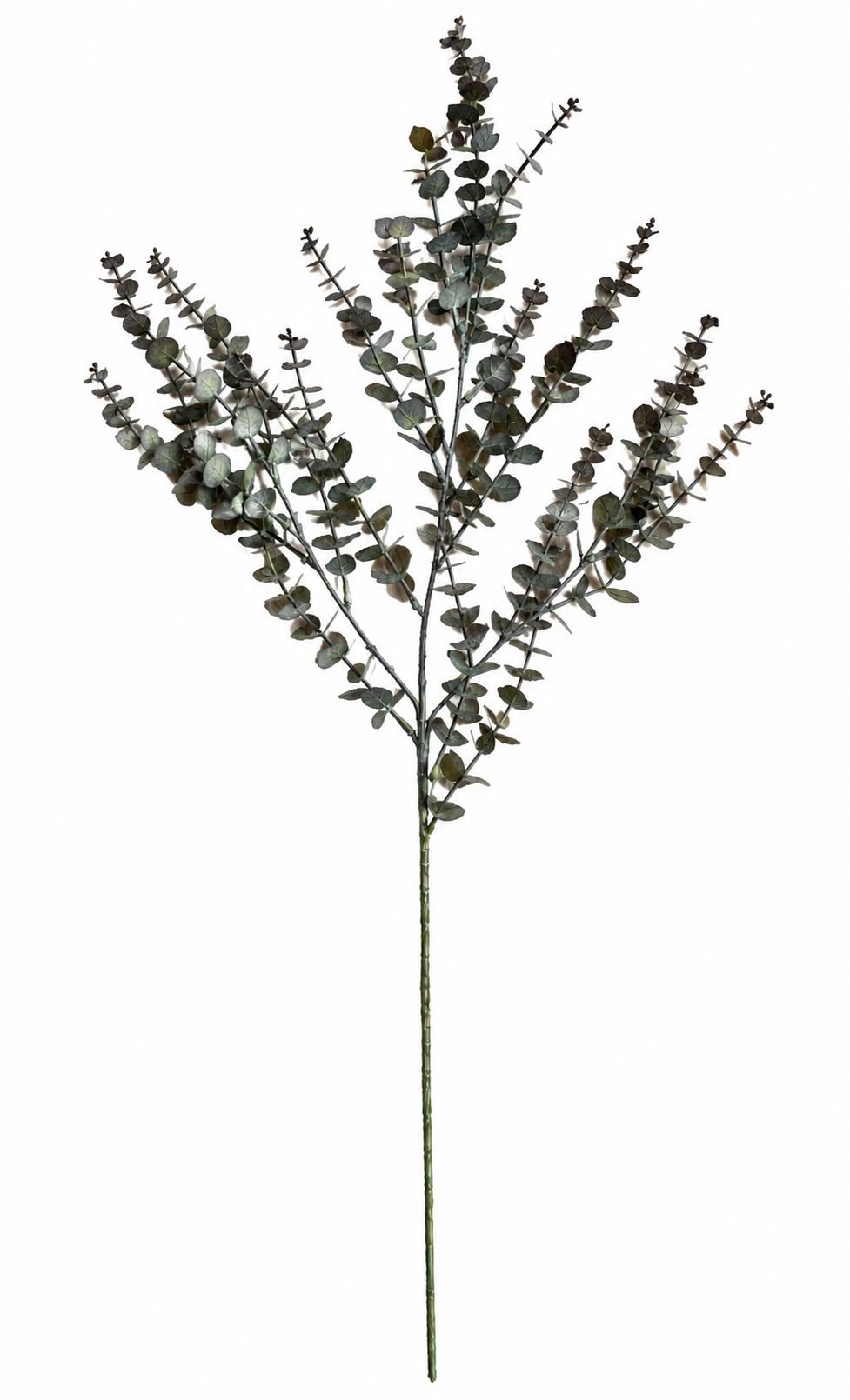 Cypressgren 82cm - Grön