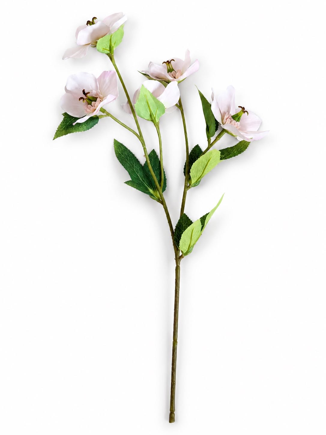 Julerose rosa