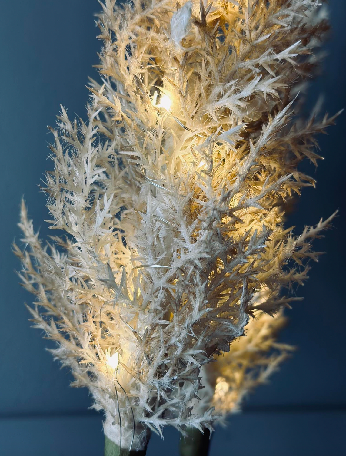Pampas med LED-ljus - 118 cm