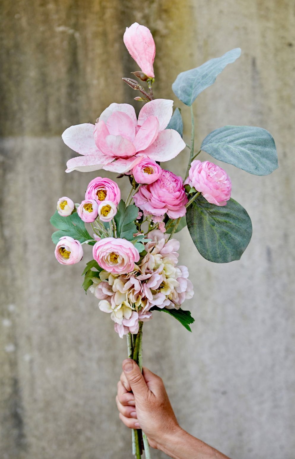 Blomma magnolia stjälk