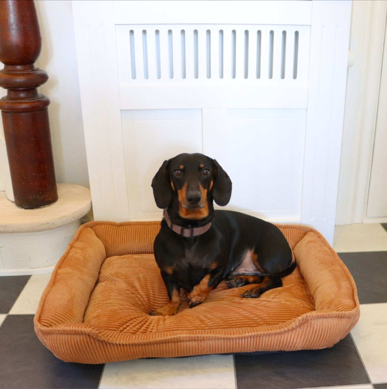 Hundkorg i sammet 70x52cm