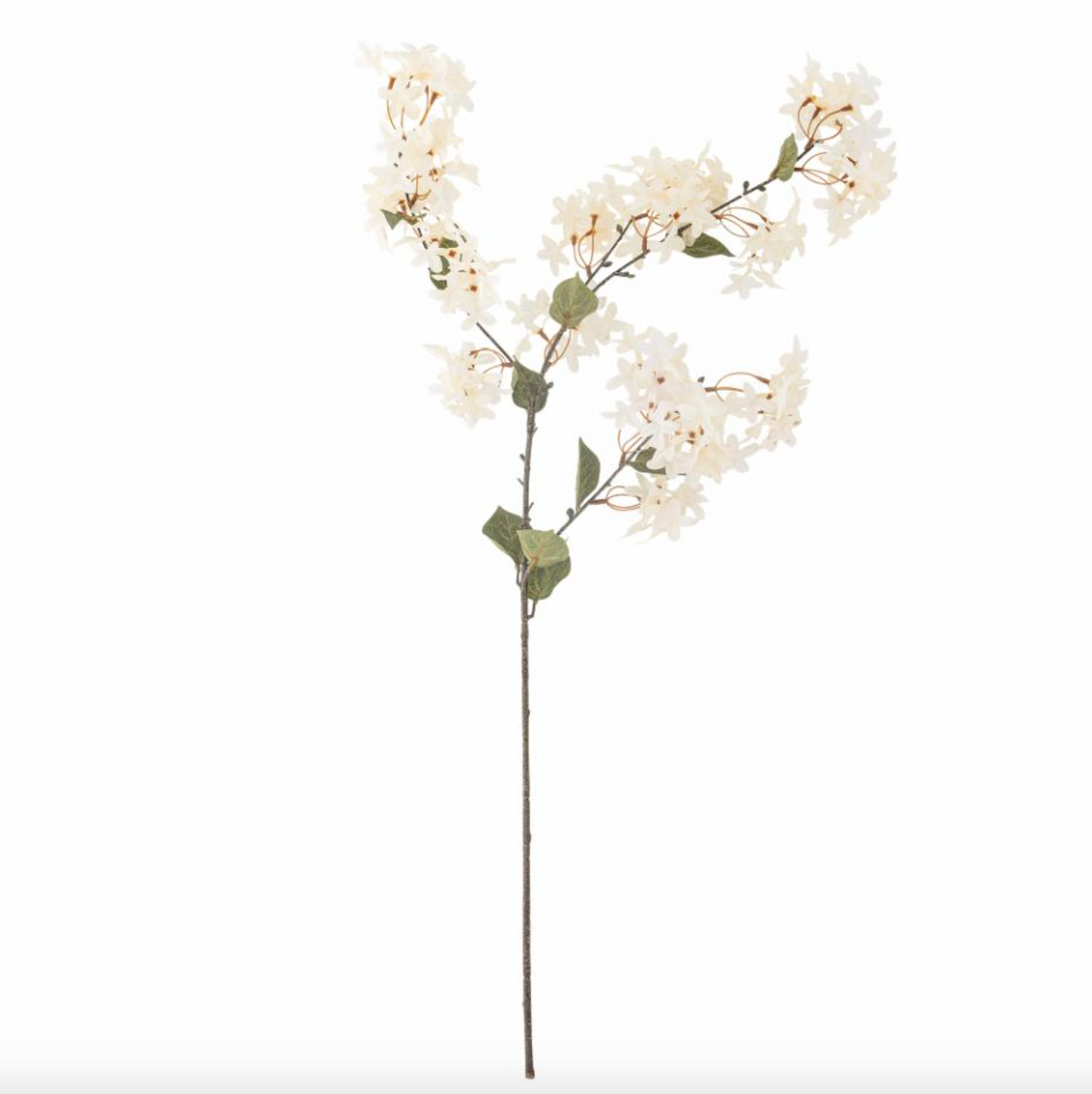Blomst silk