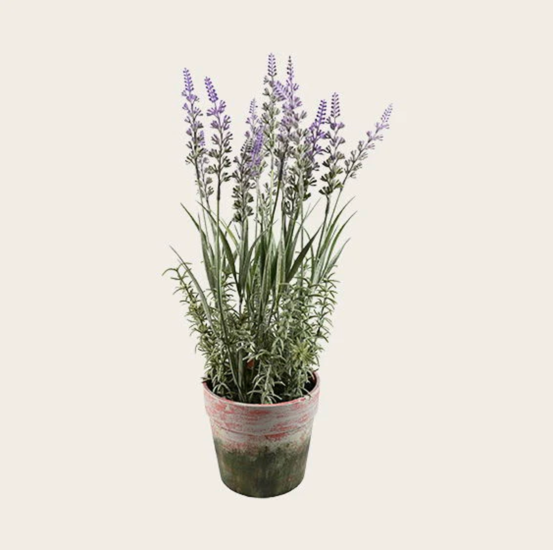 Blomma i kruka