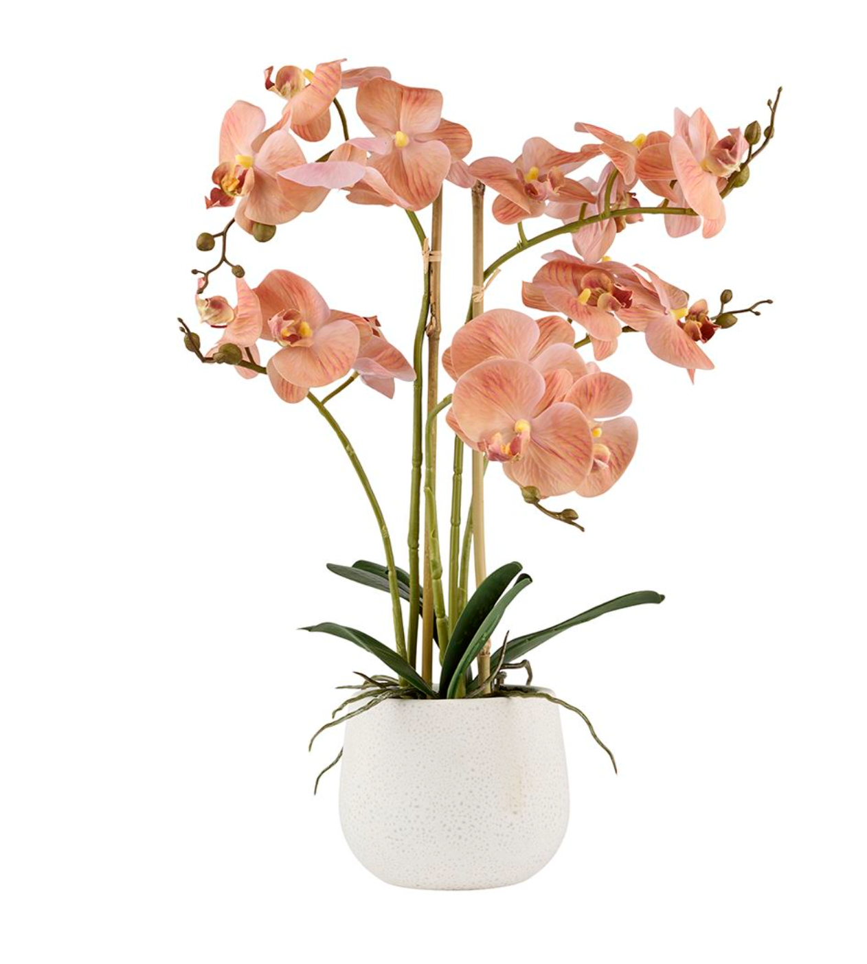 Orkidé i kruka - Rosa 50cm