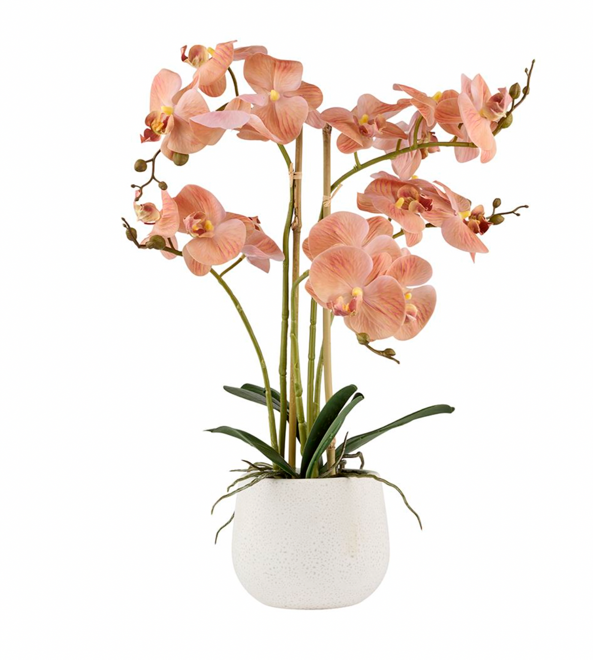 Orkidé i kruka - Rosa 50cm