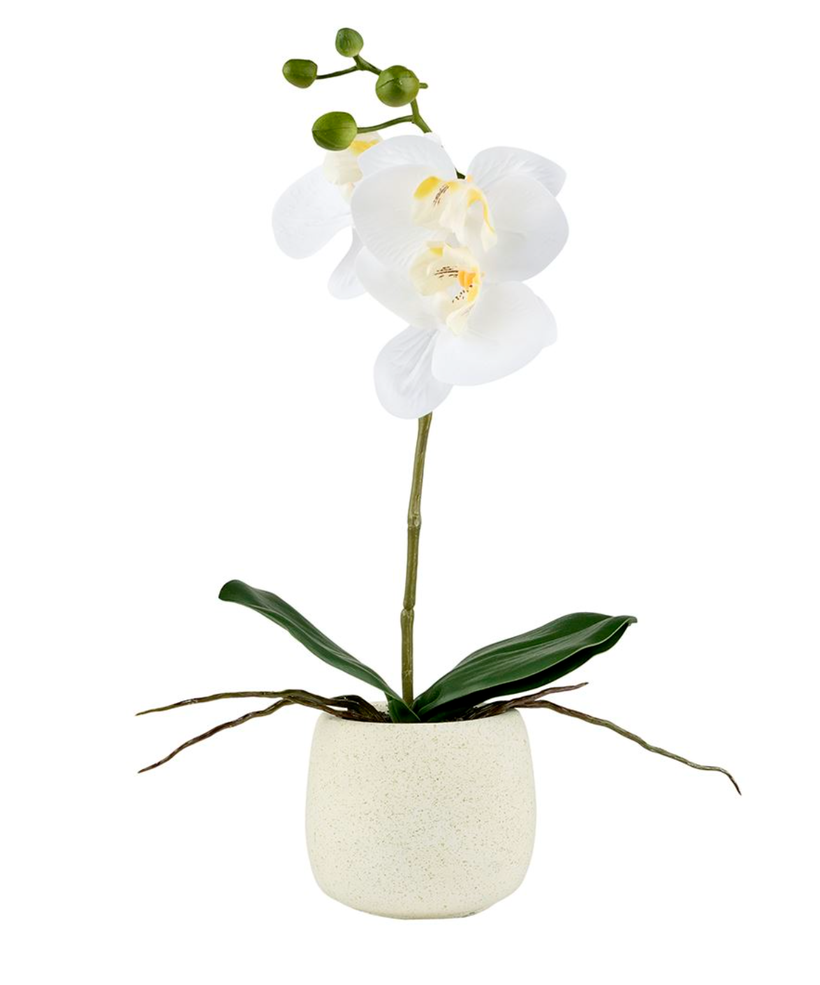 Orkidé i kruka - Vit 36cm