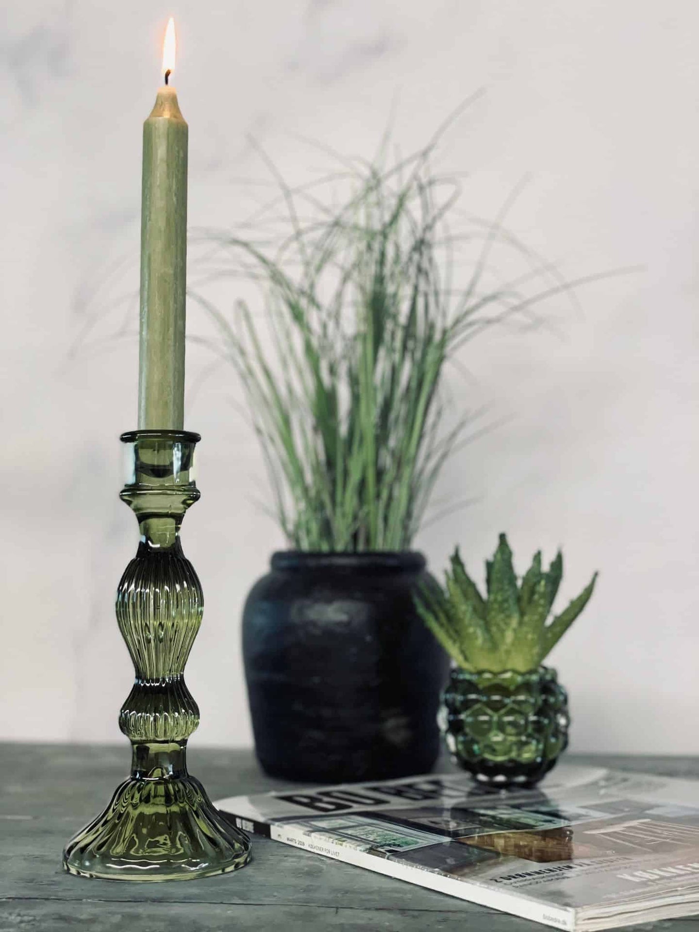 Aloe vera m/pigge 15cm - VIAMAJA.DK