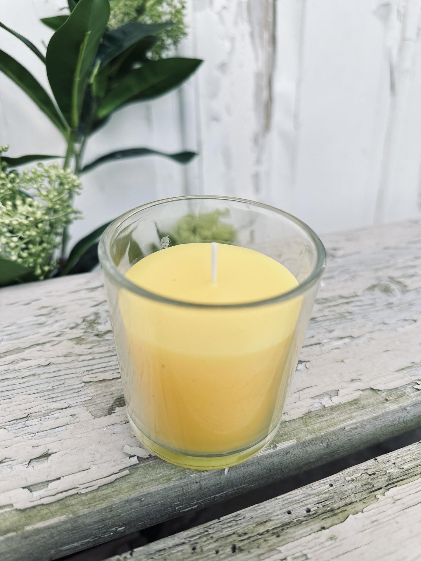 Citronella i glas - VIAMAJA.DK