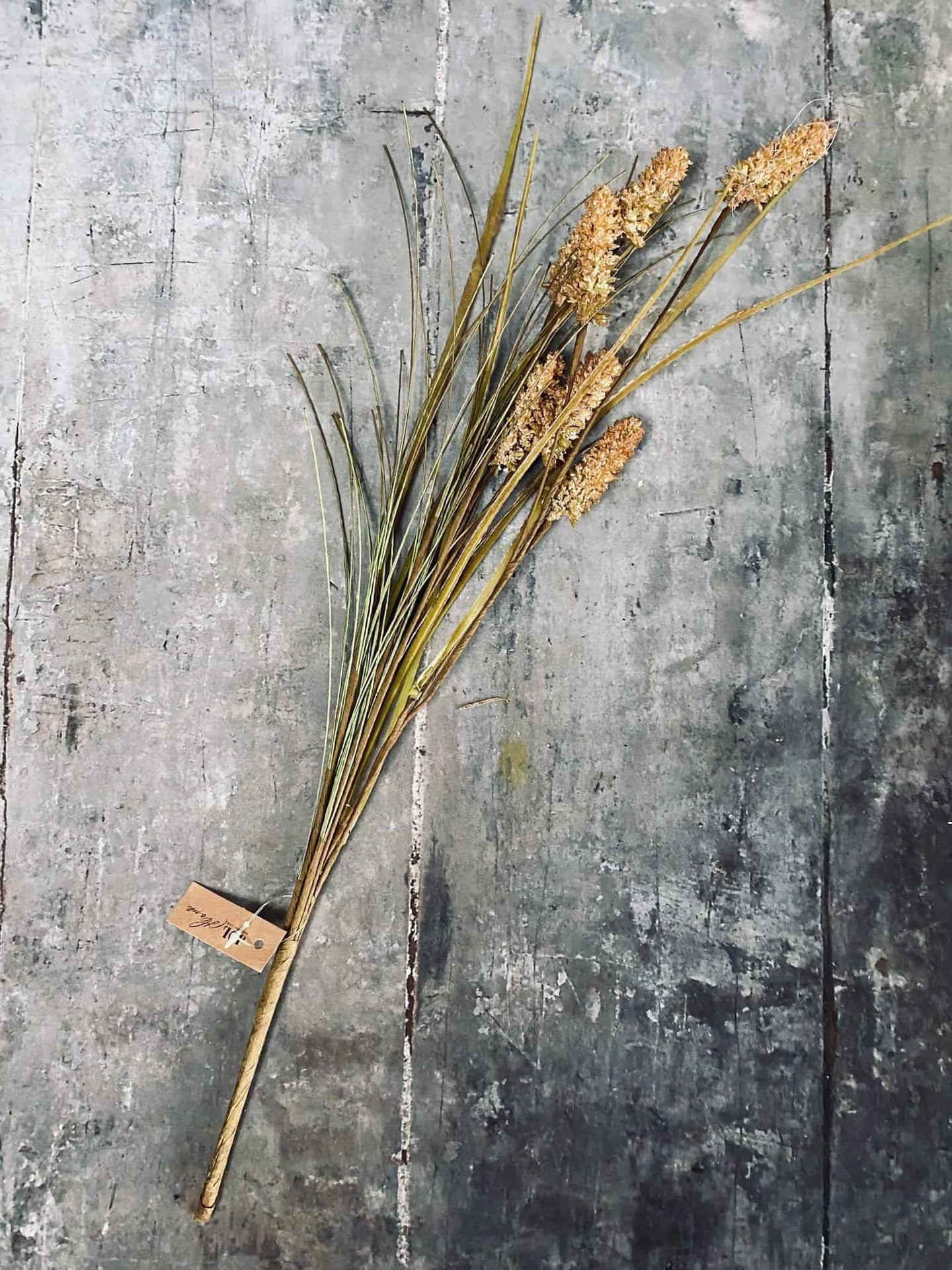 Evighedsblomst - Stilk 60cm Grøn - VIAMAJA.DK