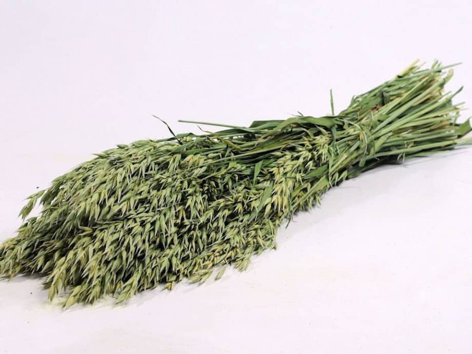 Evighedsbuket - Avena Natur - VIAMAJA.DK