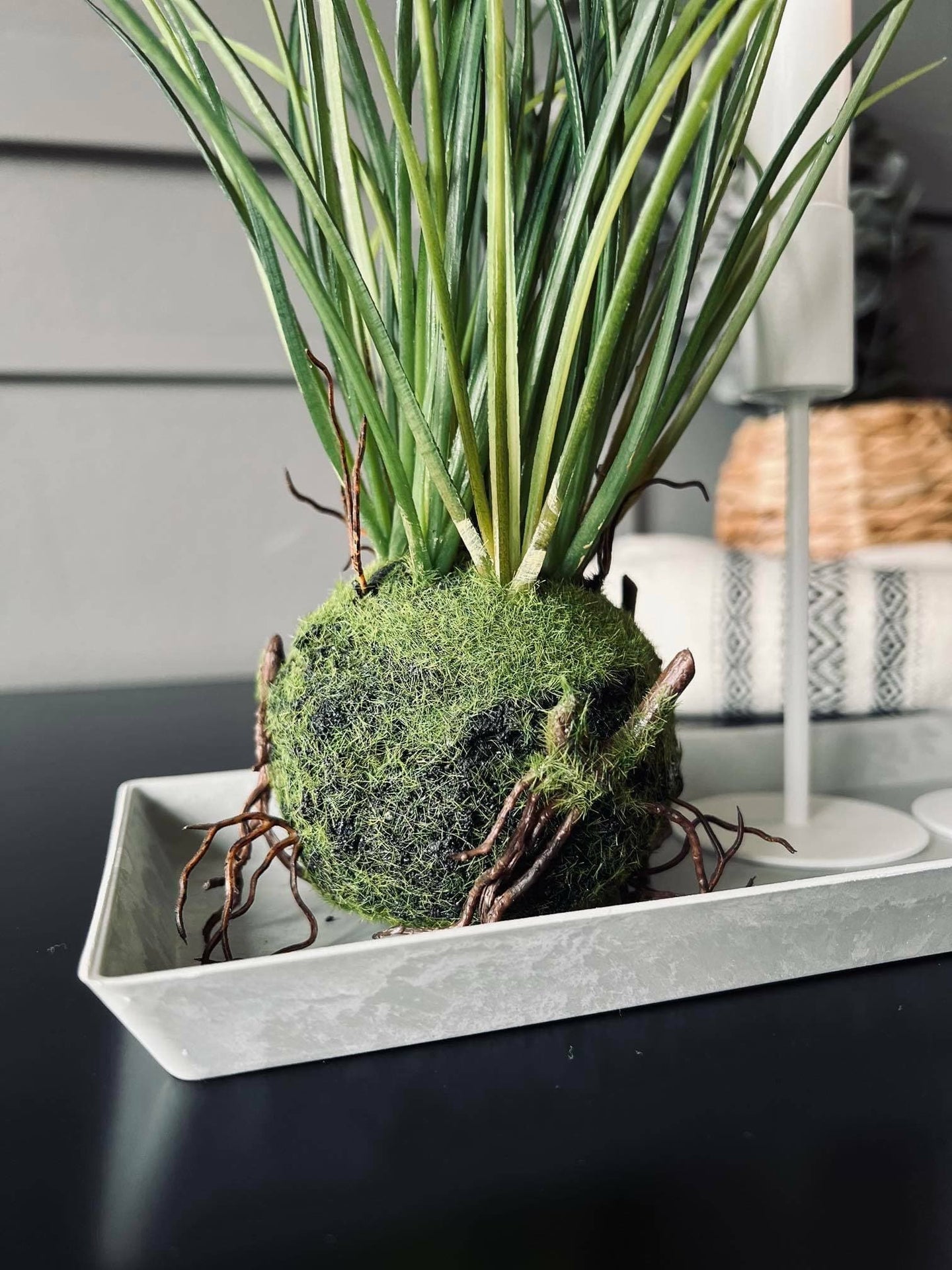 Fad i lys grå beton look - Light Nordic - VIAMAJA.DK