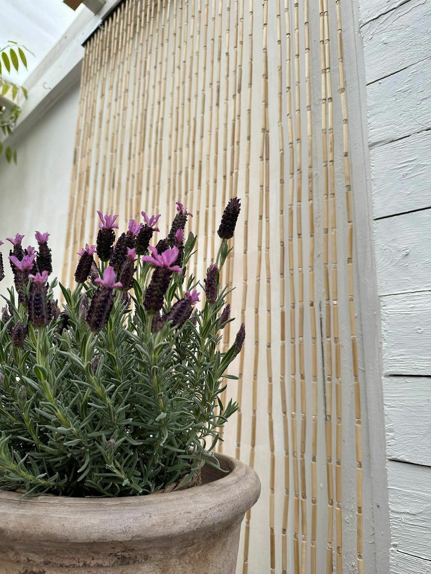 Forhæng i Bambus - 120x200cm - Ekstra bred - VIAMAJA.DK