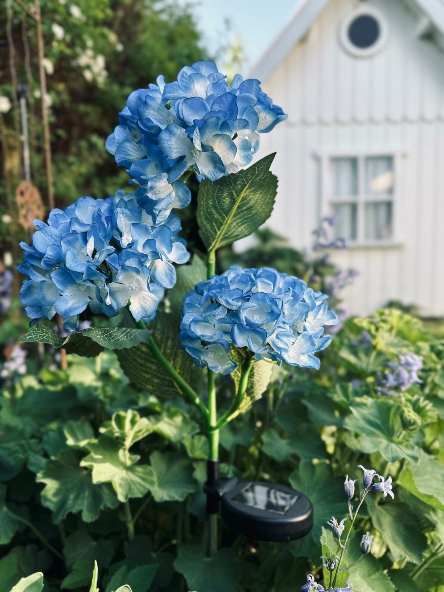 Hortensia med solceller – Blå - VIAMAJA.DK
