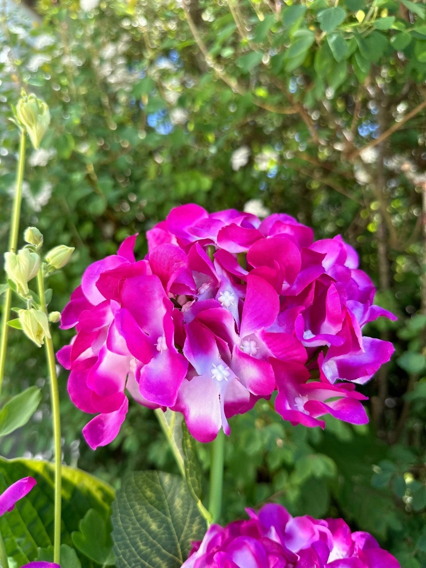 Hortensia med solceller – Pink - VIAMAJA.DK