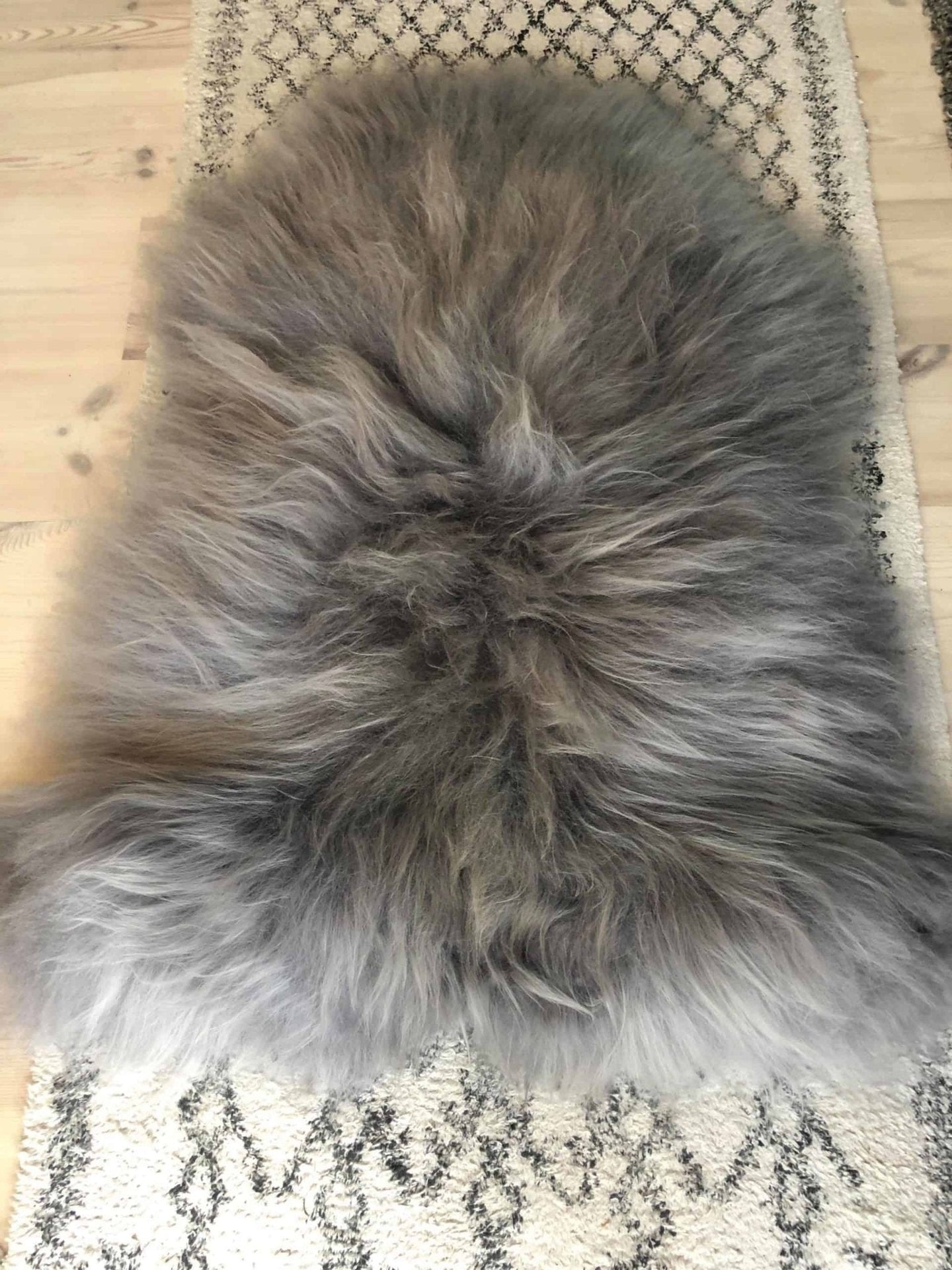 Islandsk lammeskind - grey breeze - VIAMAJA