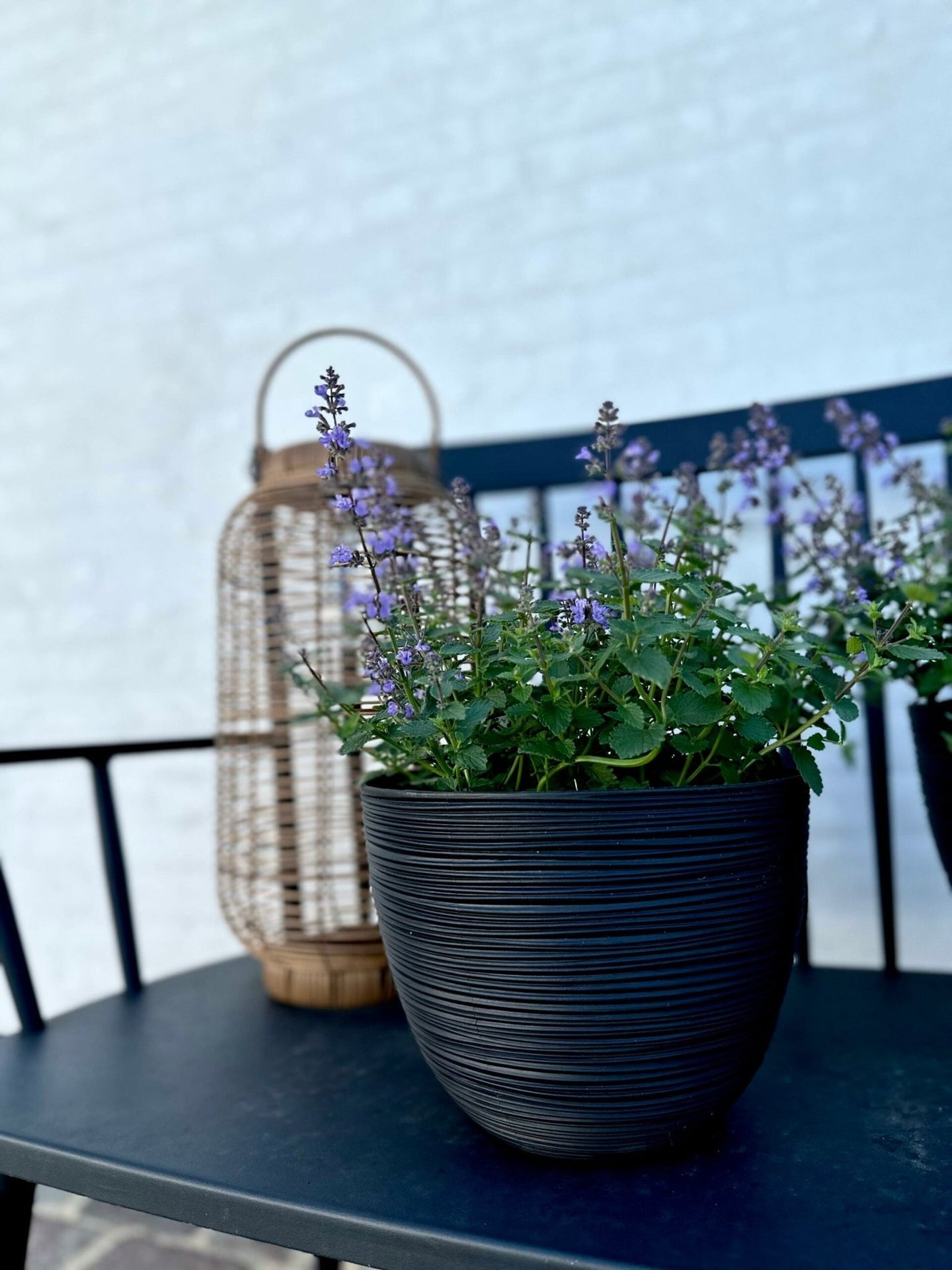 Kruka med räfflor, liten, svart - VIAMAJA.DK