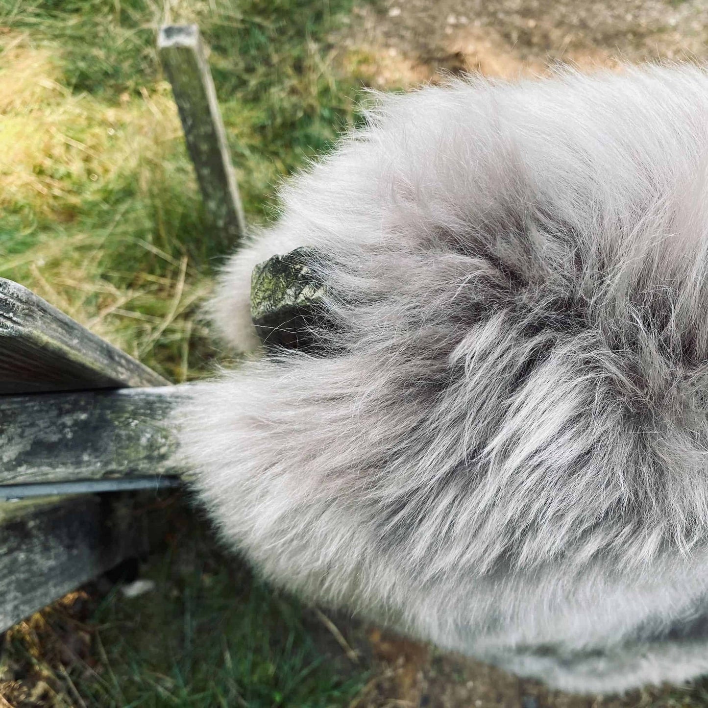 Lammskinn i moccafärg - VIAMAJA.DK