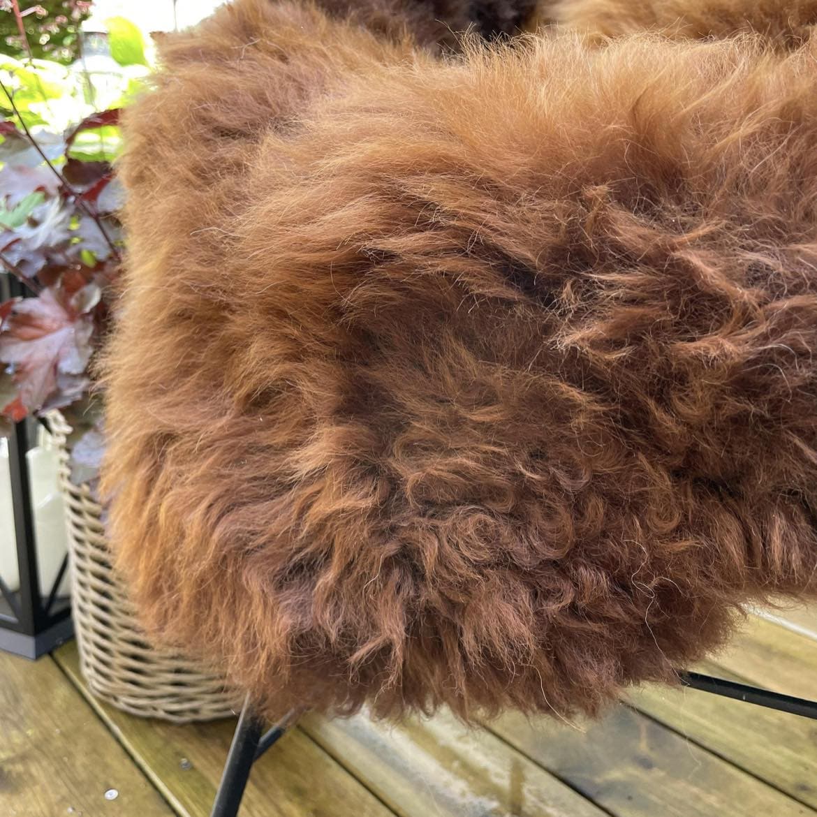 Lammeskind i flotte nuancer - VIAMAJA.DK