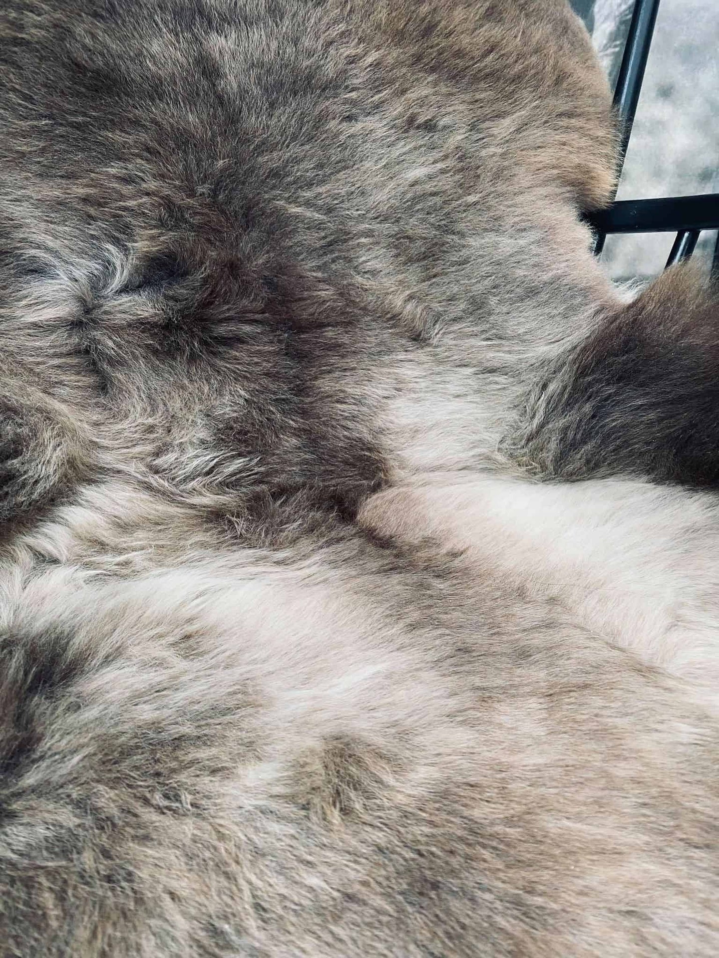 Lammeskind - Natur unika - VIAMAJA.DK