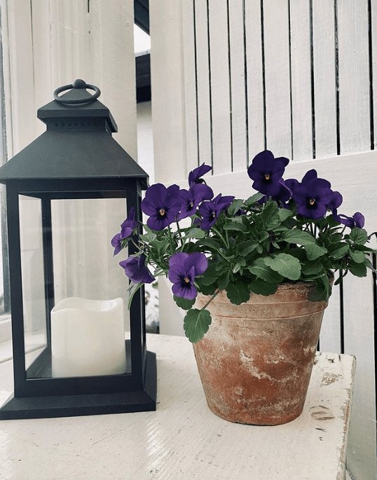 LED Lanterner med bloklys og timer - Sæt af 2 stk - VIAMAJA.DK