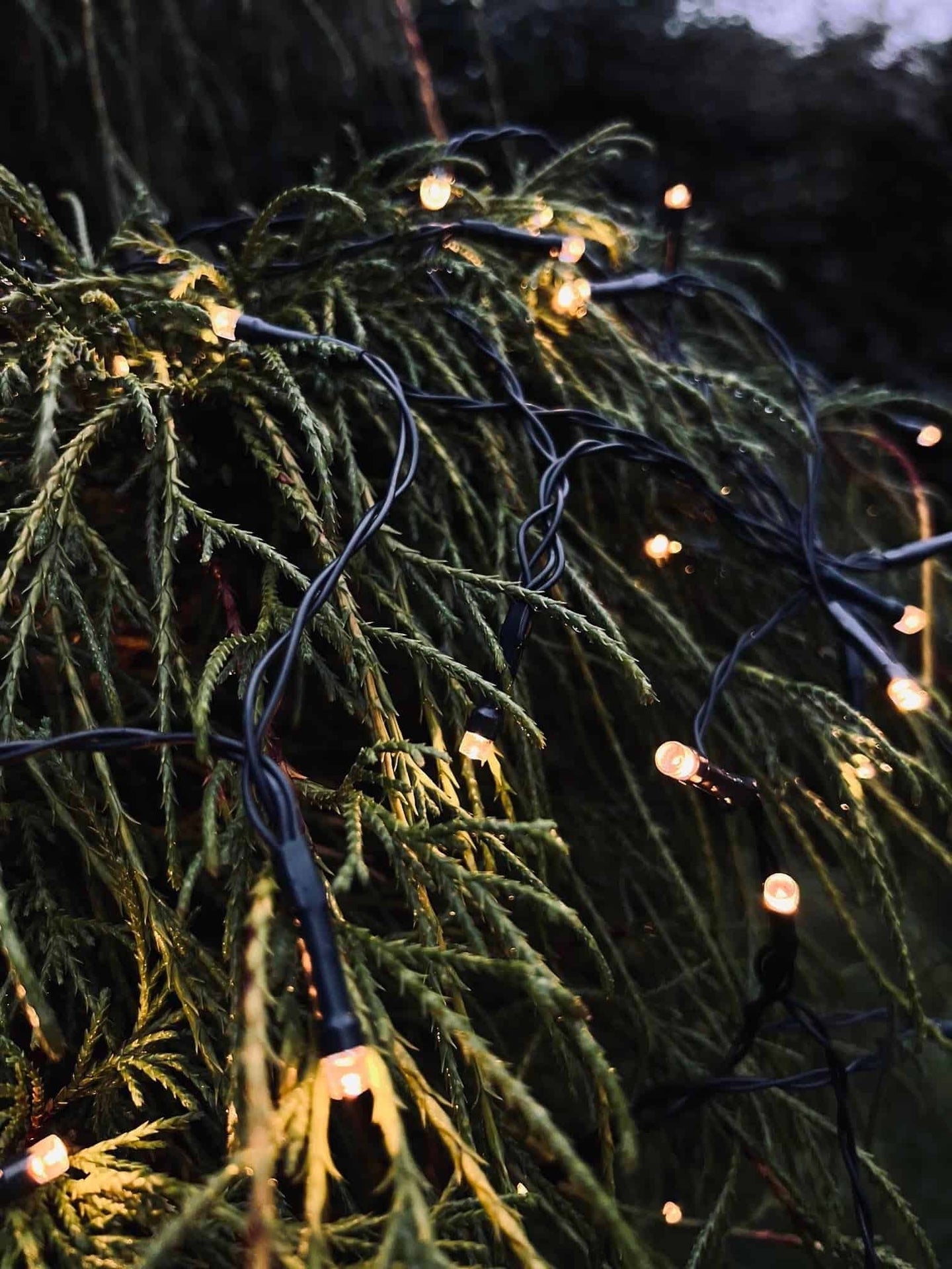 Lyskæde 80 LED med batteriboks – Godkendt inde / ude - VIAMAJA.DK