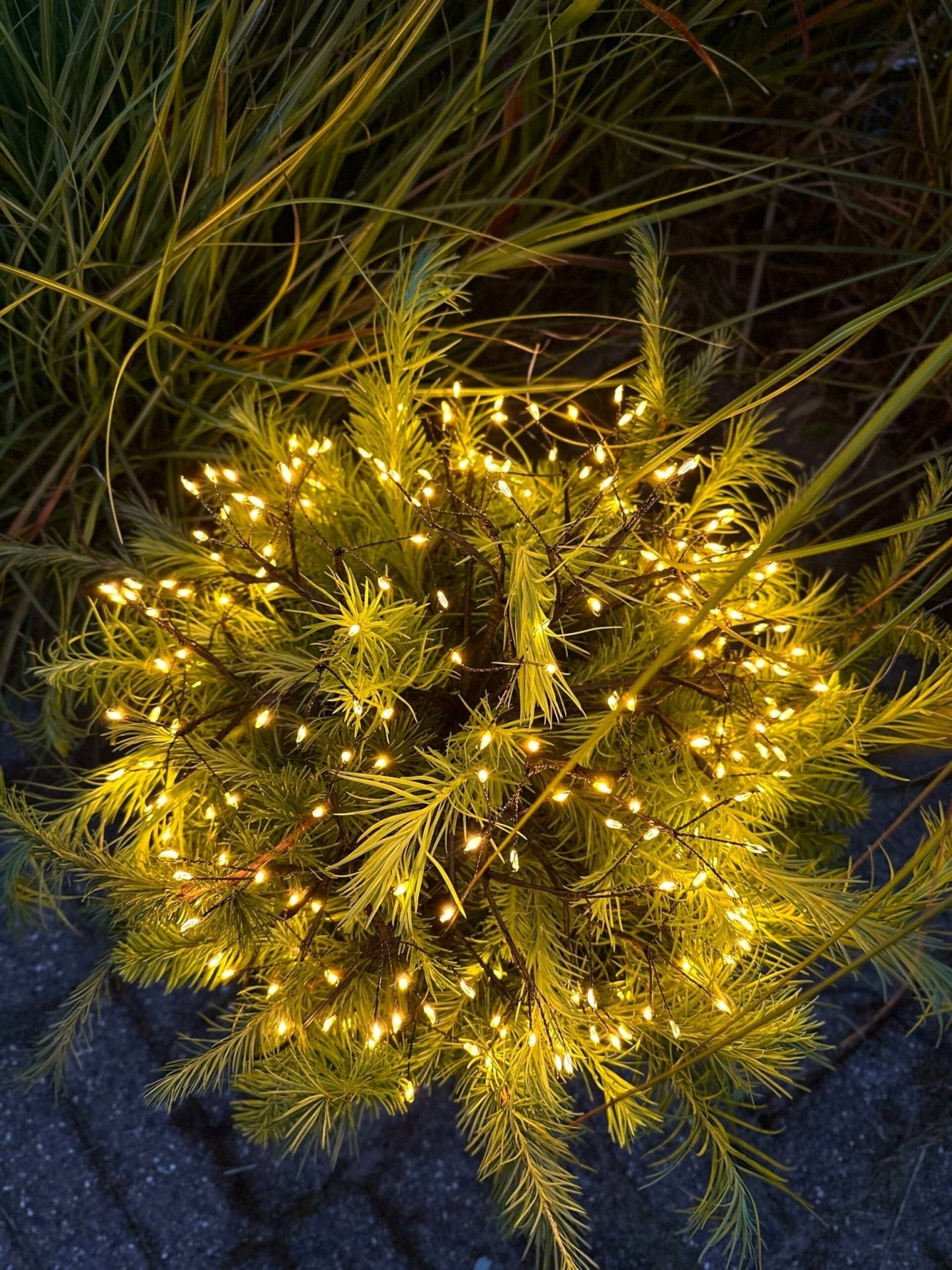 Lyskæde BALL med 240 led lys - VIAMAJA.DK