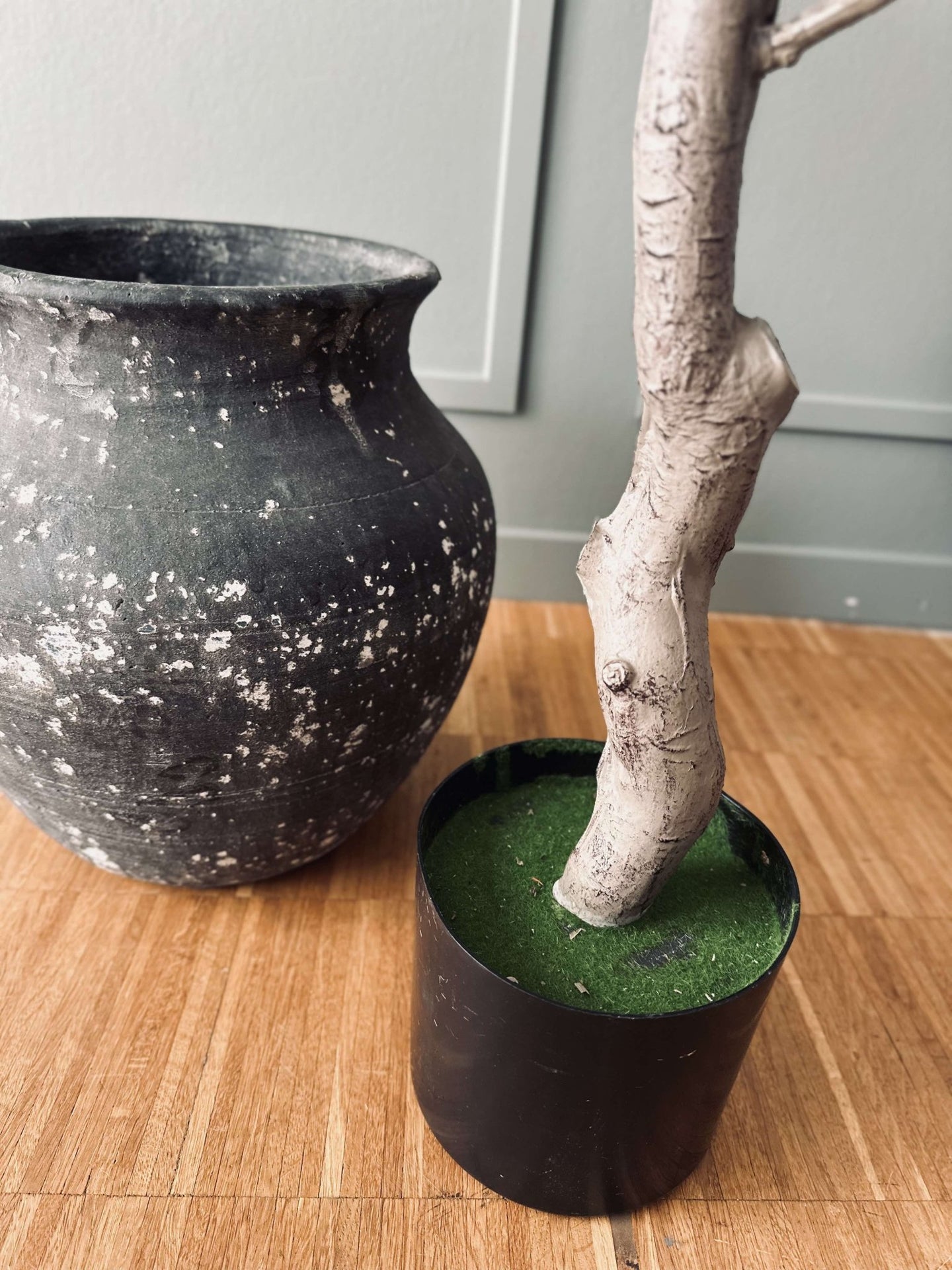 Magnoliatræ i potte - 120 cm Rosa - VIAMAJA.DK