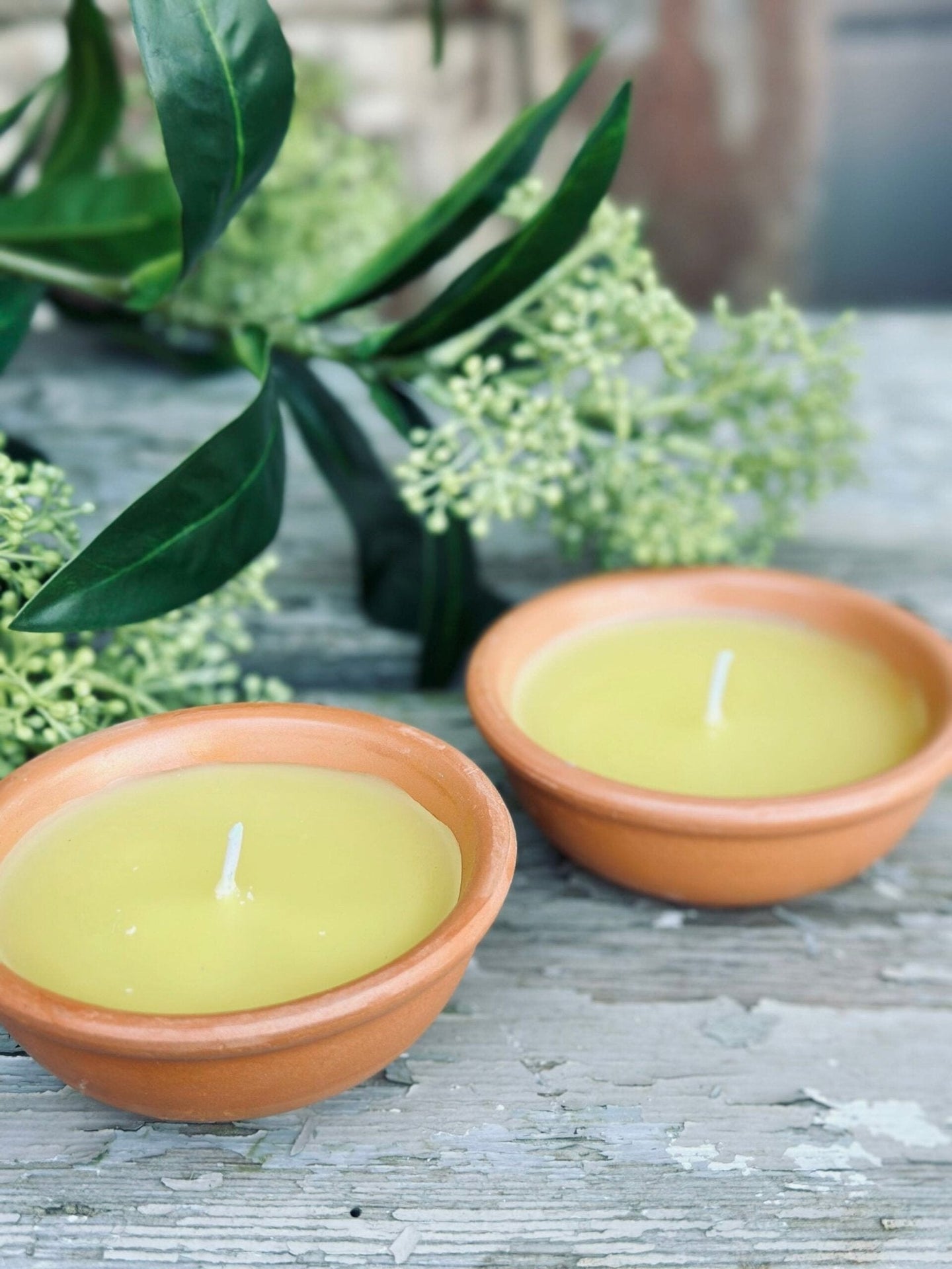 Myggelys – Citronella Sæt med 2 stk - VIAMAJA.DK