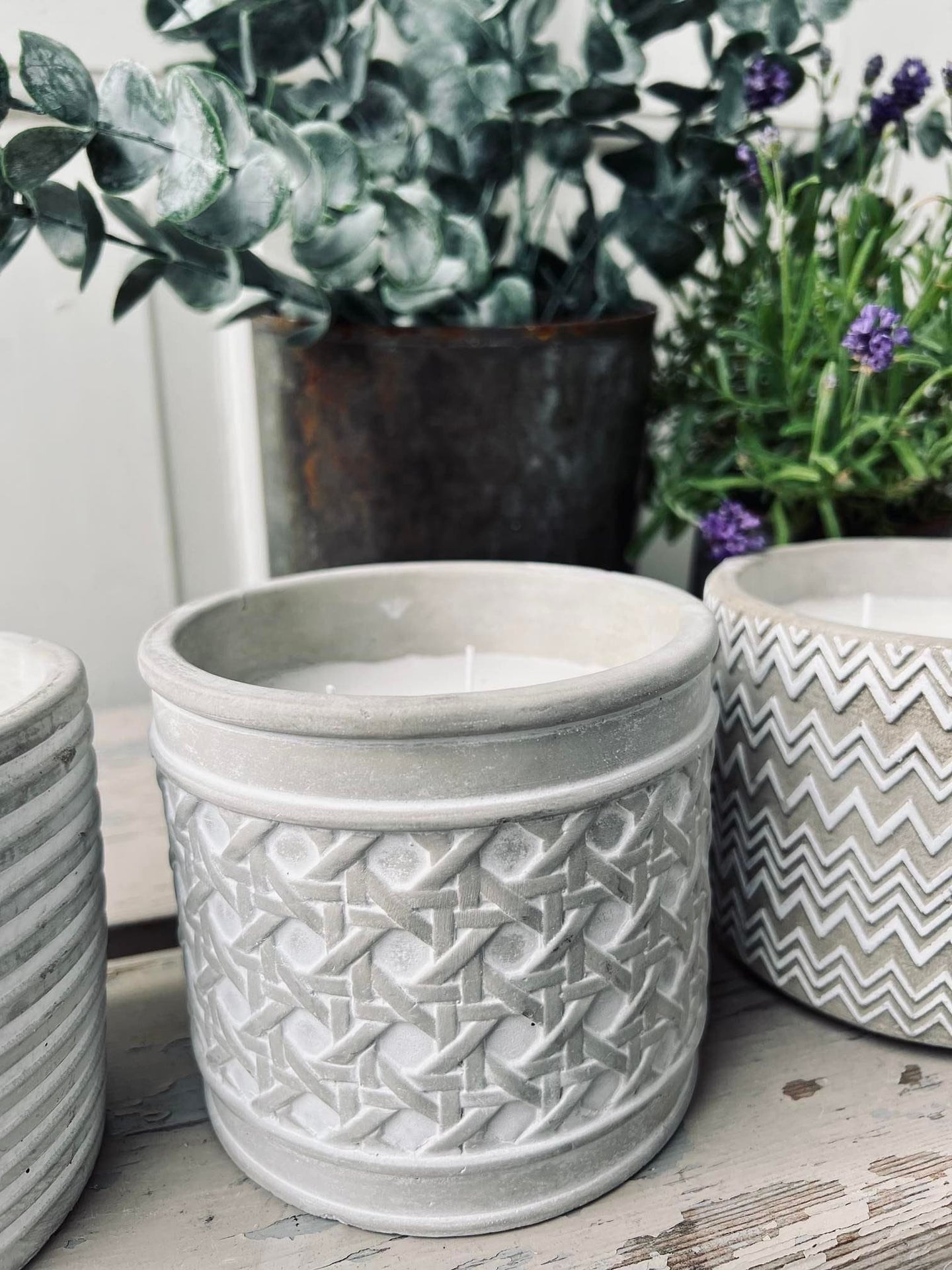 Myggelys i cement potte - Citronella mix - VIAMAJA.DK