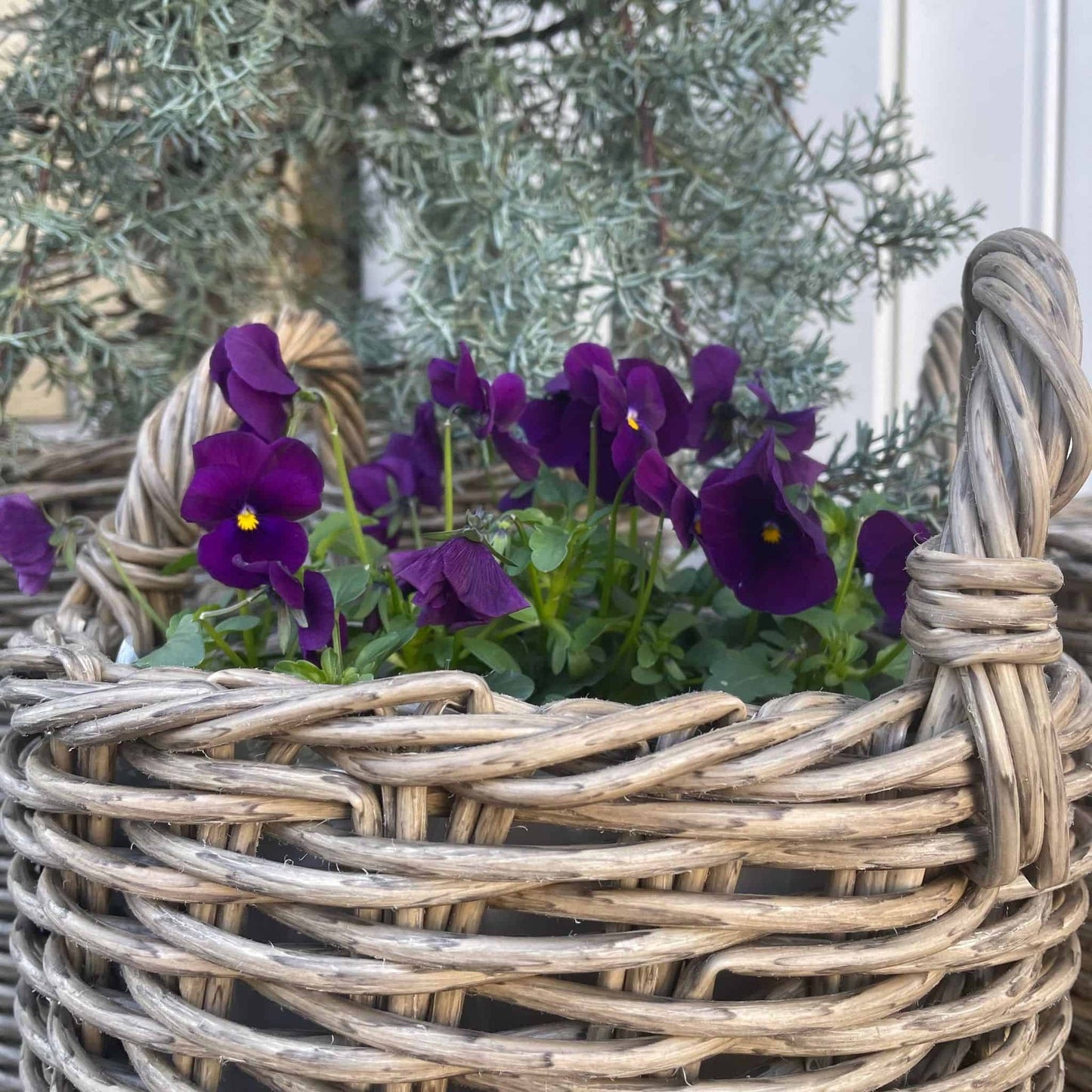 Plantekurve sæt af 3 stk Grå - VIAMAJA.DK