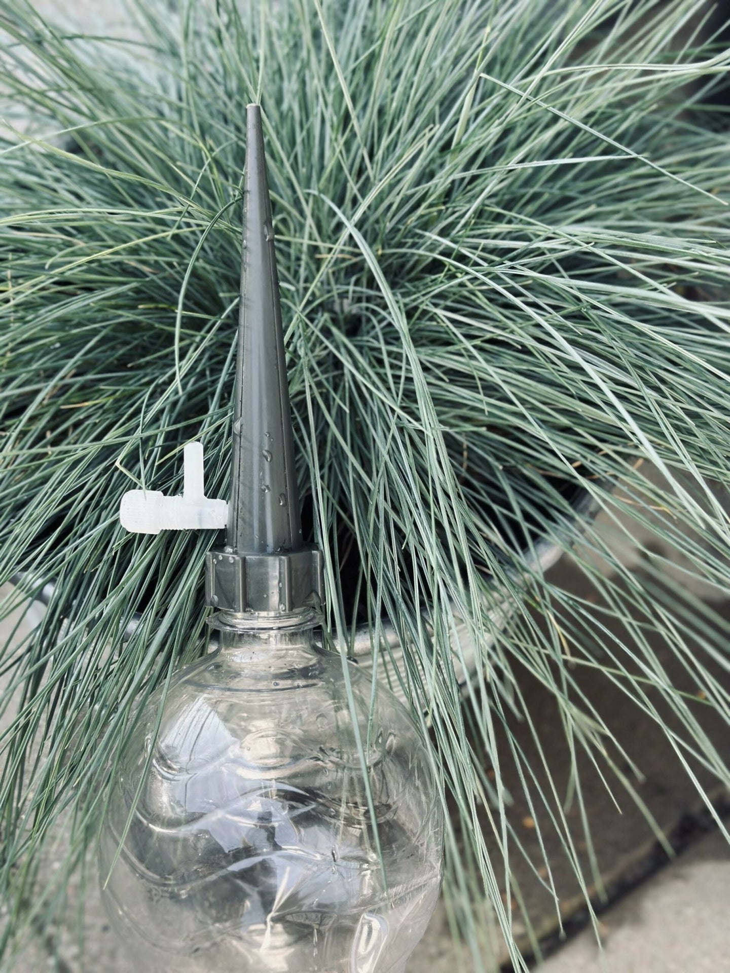 Spyd til vanding af blomster – Sæt af 4 stk - VIAMAJA.DK